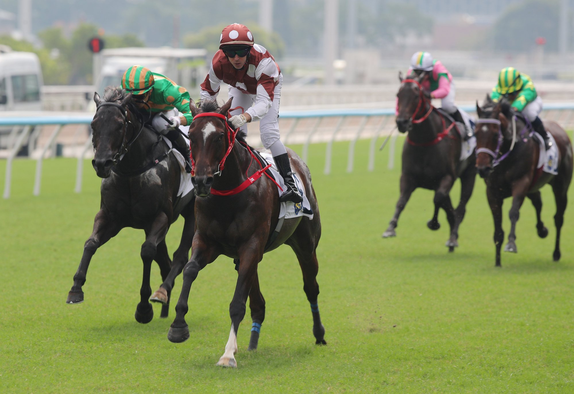 Brenton Avdulla boots home Sight Hermoso. Brenton Avdulla boots home Sight Hermoso.