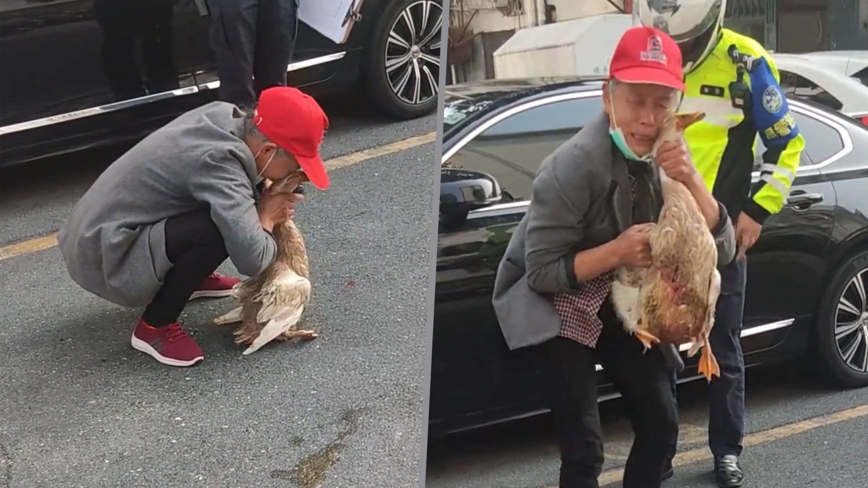 An elderly Chinese woman was seen grieving for her pet duck, which was killed by a car in a road accident. Photo: SCMP composite/Douyin