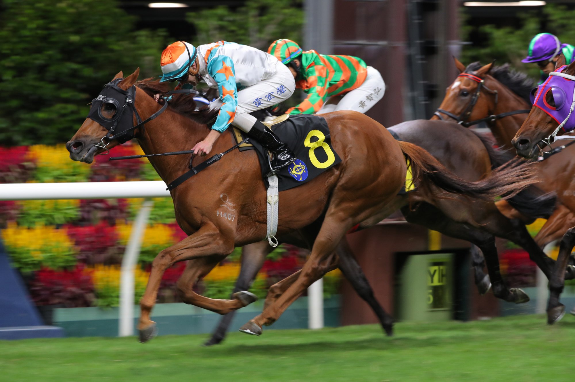 Luke Ferraris lifts King Oberon to victory.