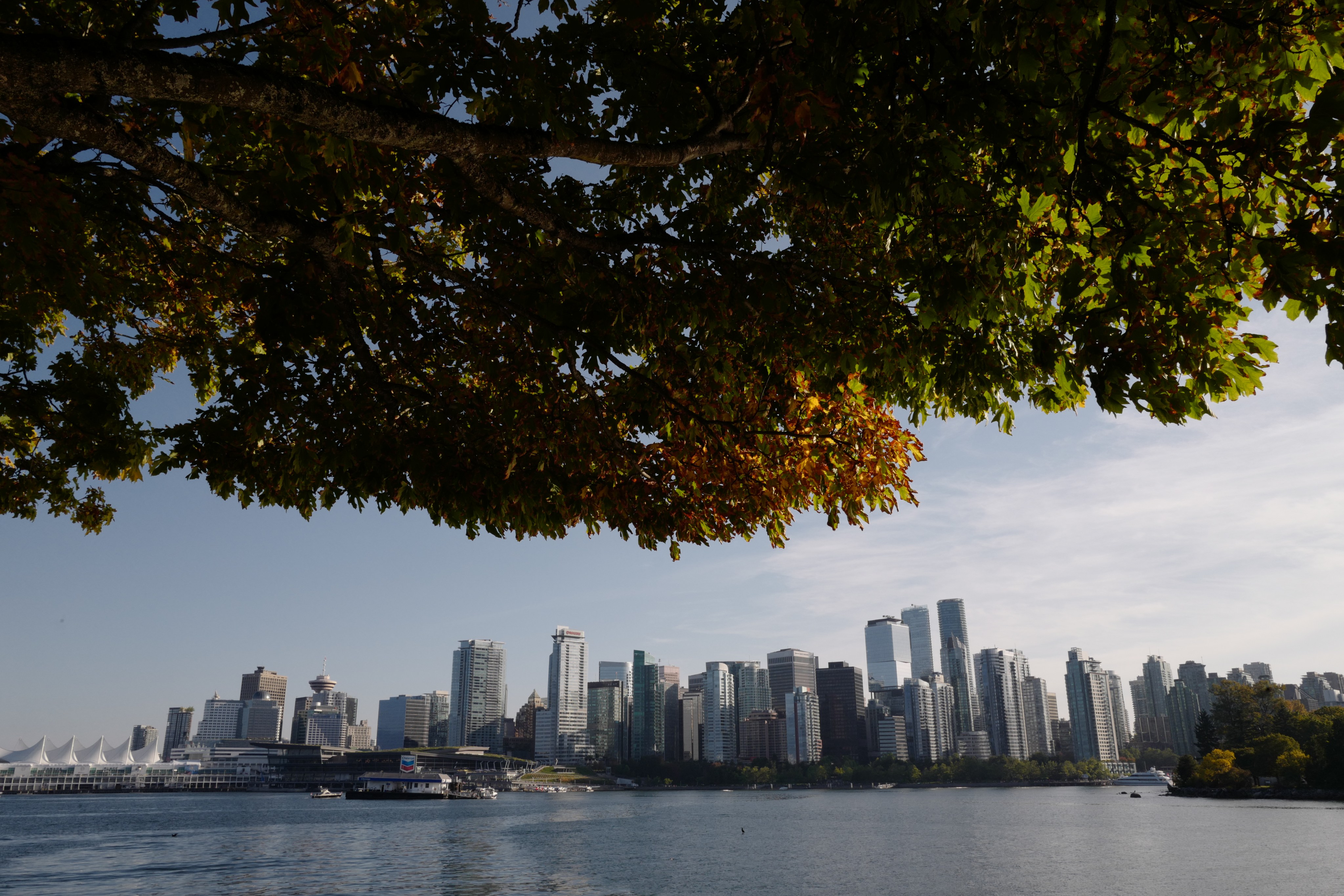 A view of the Canadian city of Vancouver. Photo: Getty Images