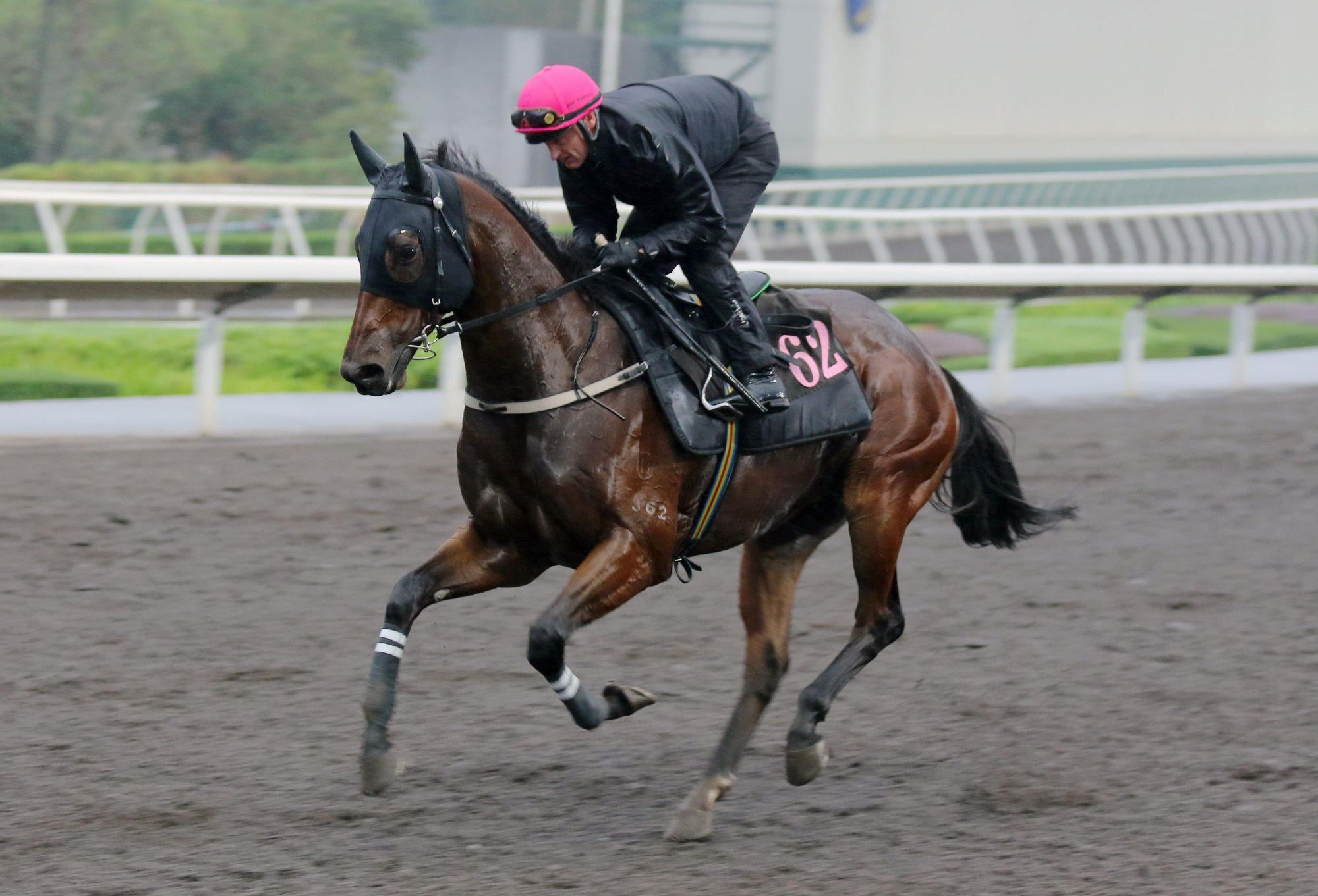Zac Purton puts Ka Ying Rising through his paces on the Sha Tin dirt last week.