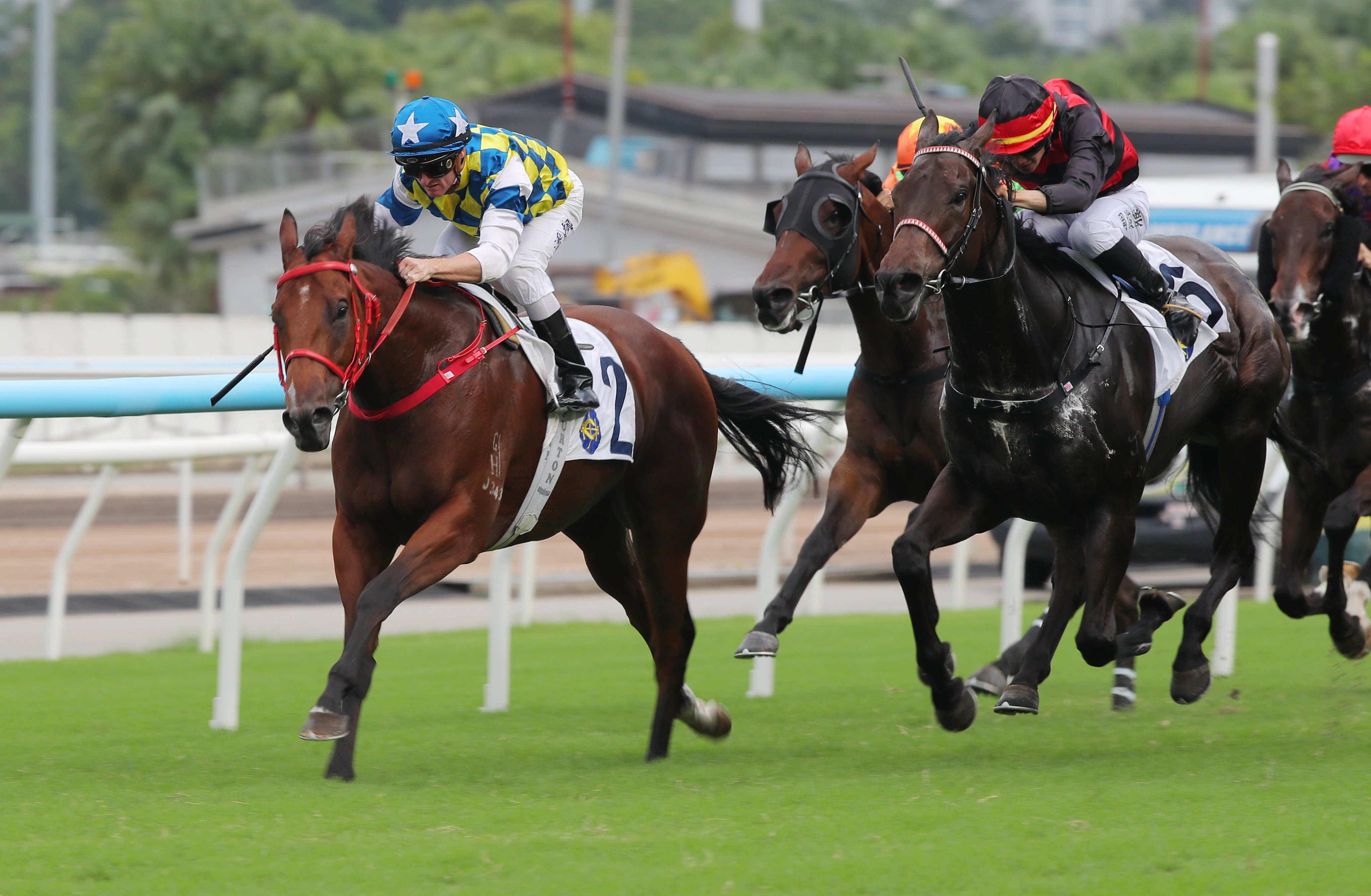Patch Of Stars soars clear for Zac Purton to win last month. Photos: Kenneth Chan