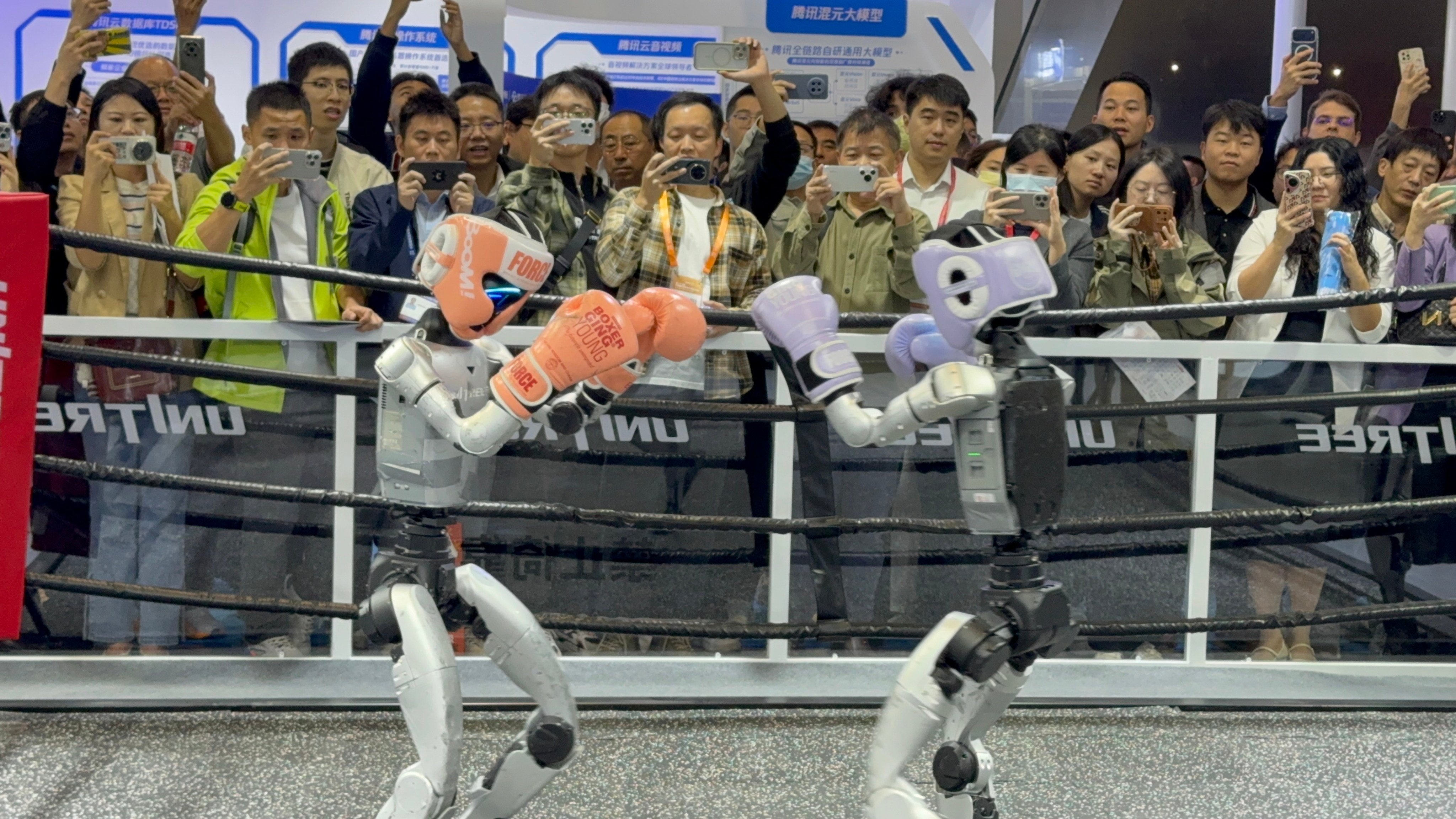 China Hi-Tech Fair attendees are regaled by a kickboxing match between humanoid robots from Unitree Robotics. Photo: Iris Deng
