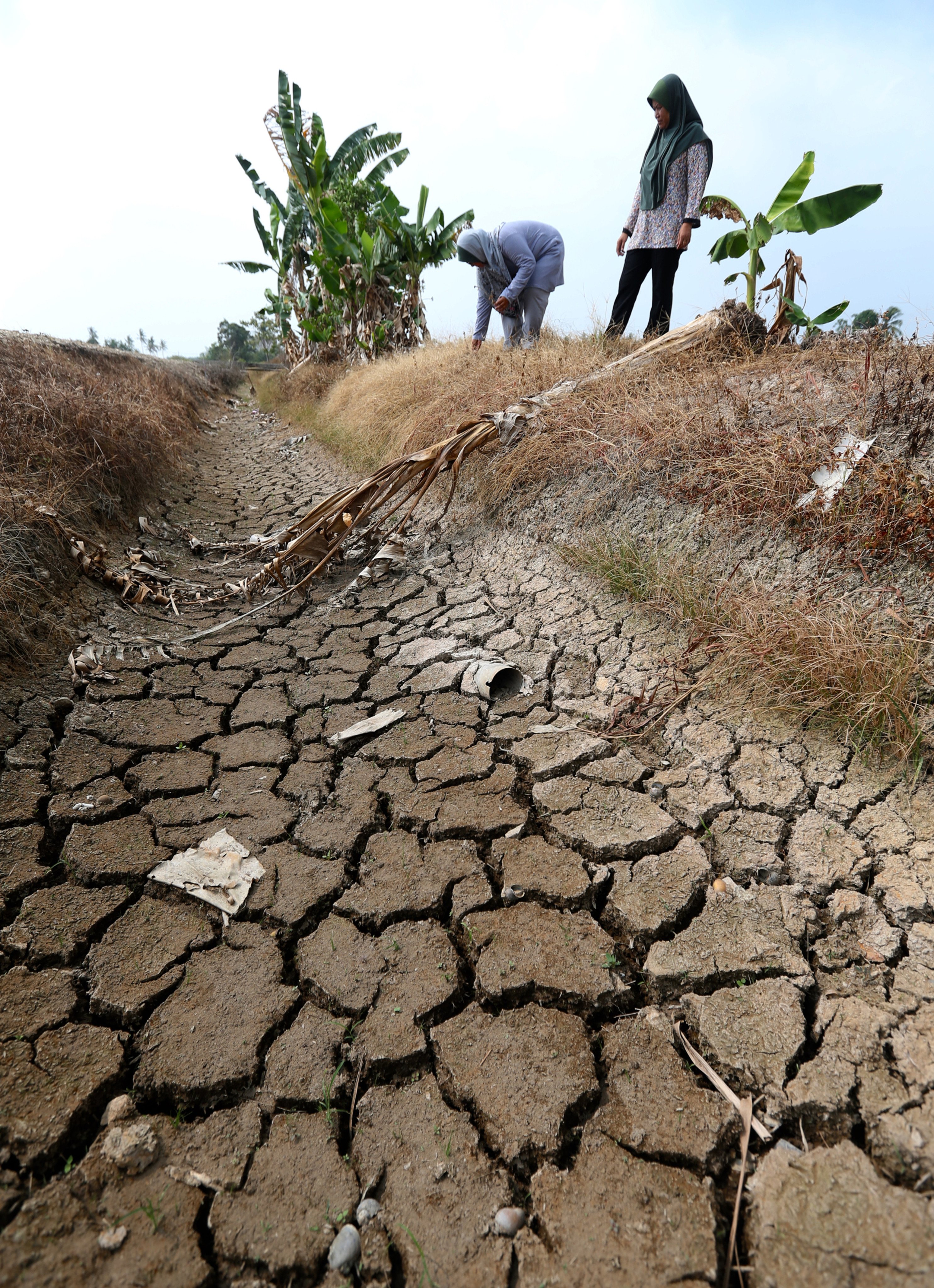 Farmers inspect a parched field in Johor, Malaysia’s most drought-prone state, in 2019. Photo: Shutterstock