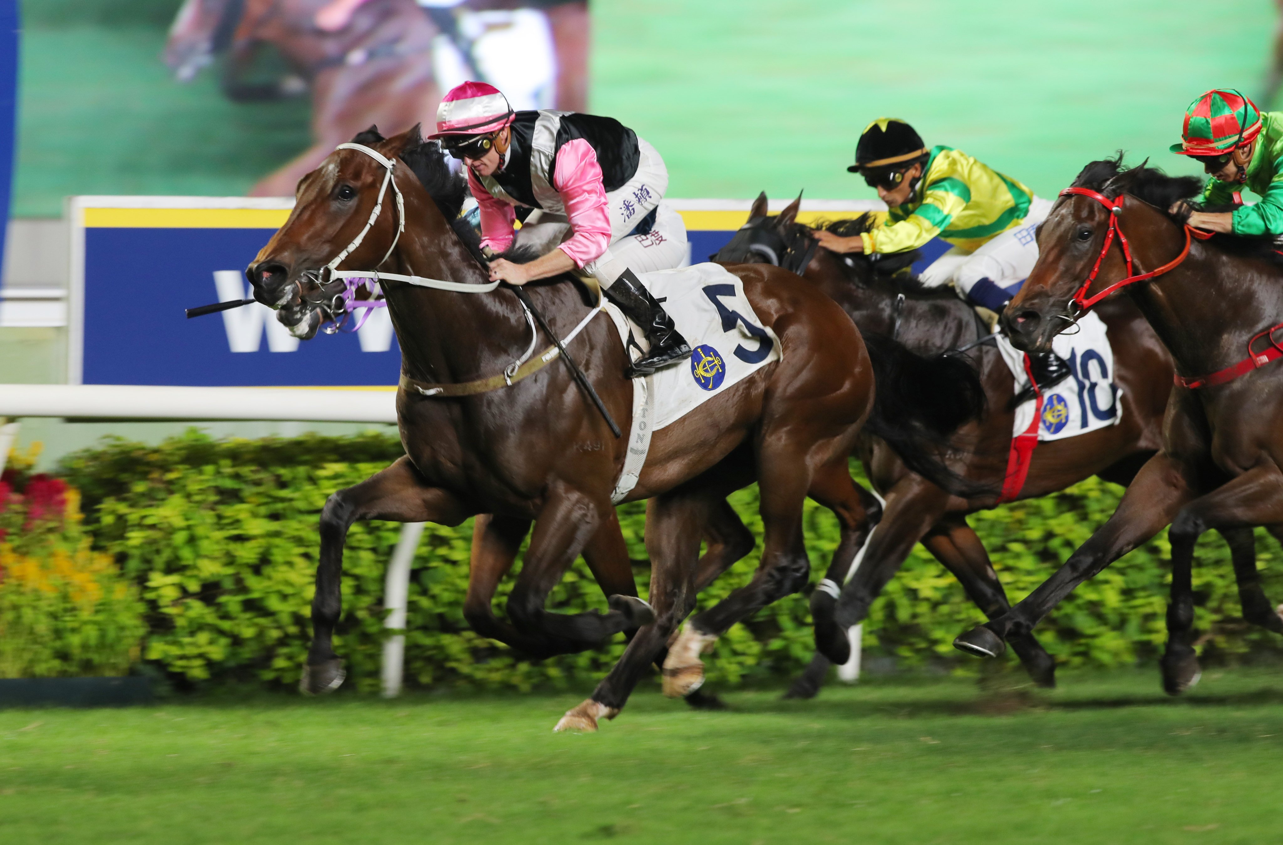 Beauty Bolt scores at Sha Tin in July under Zac Purton. Photos: Kenneth Chan
