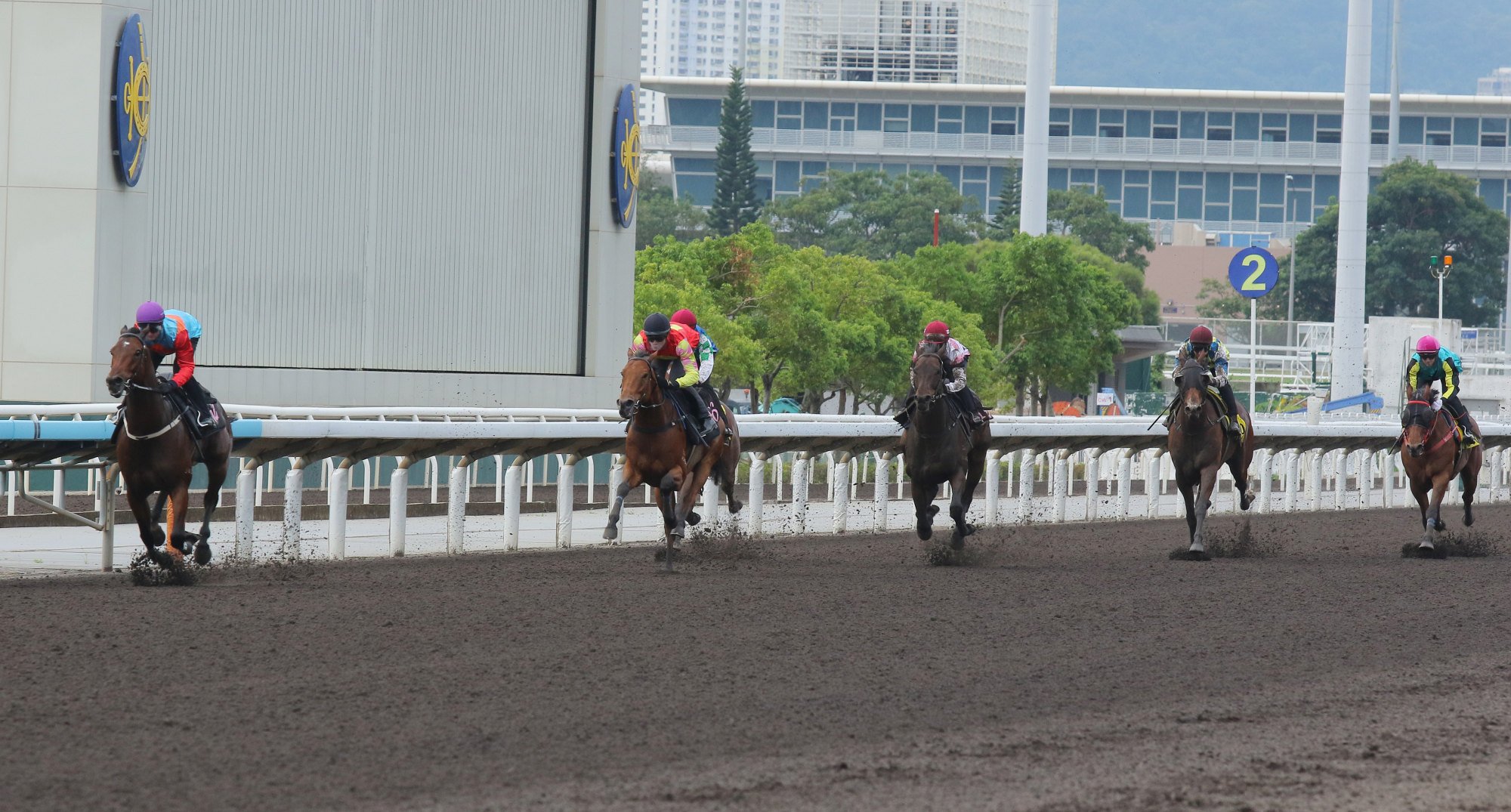 Ka Ying Rising gaps his rivals in Friday morning’s trial. Ka Ying Rising gaps his rivals in Friday morning’s trial.