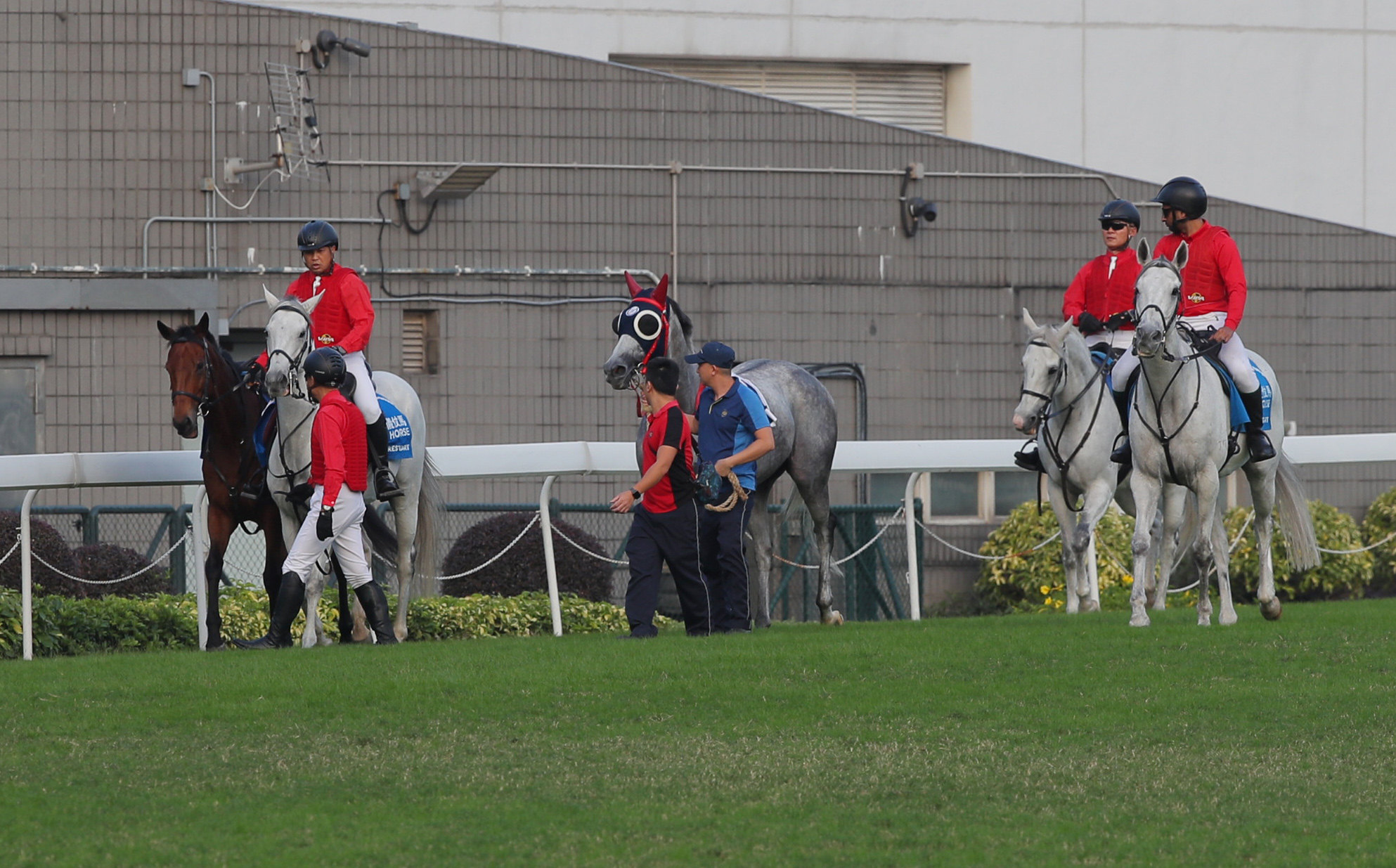 Dreaming Winner (centre) dislodged his rider and galloped loose around the wrong way of the track, forcing race eight to be voided at Sha Tin on Saturday. Photos: Kenneth Chan