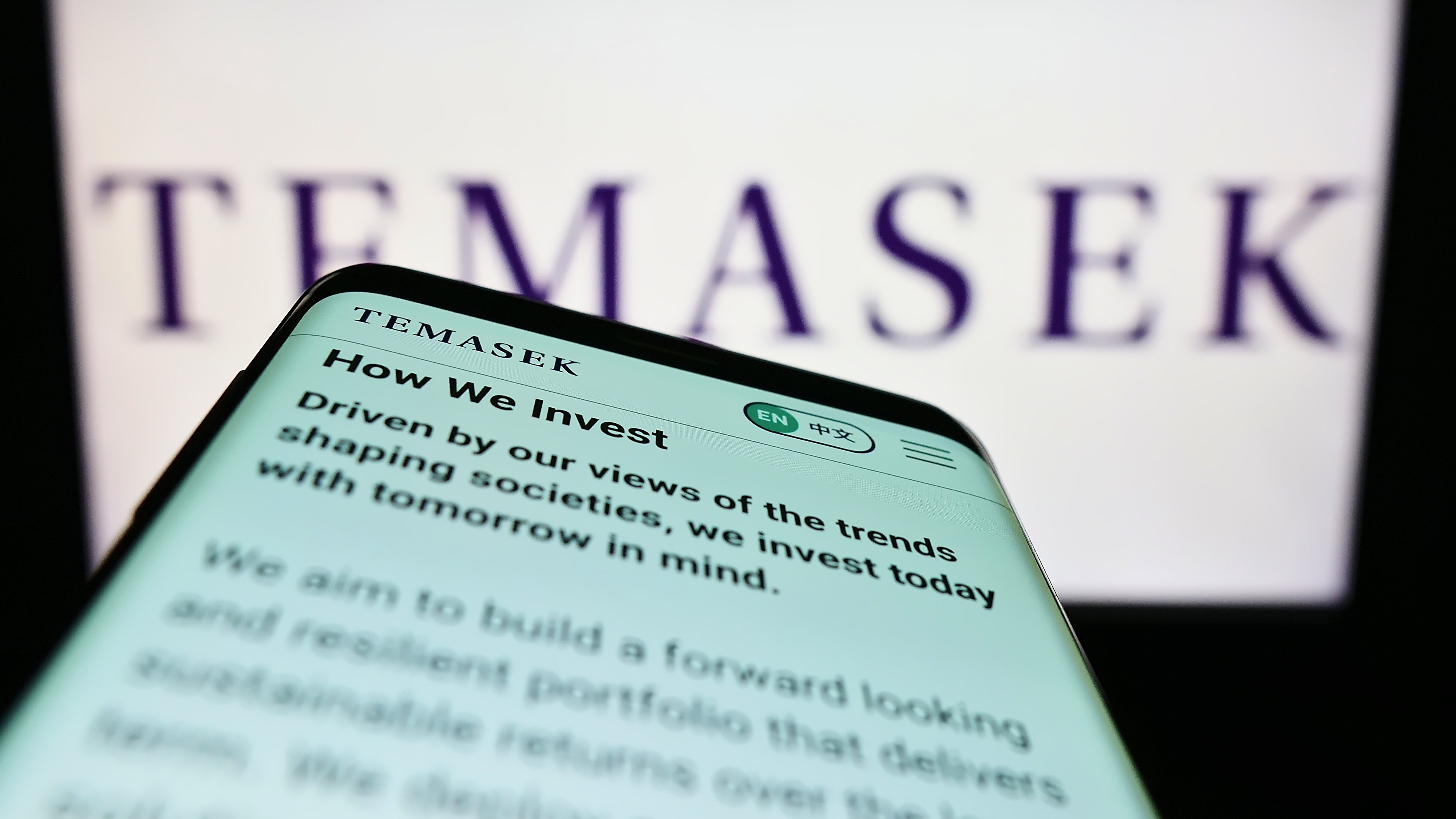 Temasek Holdings invests around US$13.7 million in combined shareholdings in WeRide and Pony.ai. Photo: Shutterstock