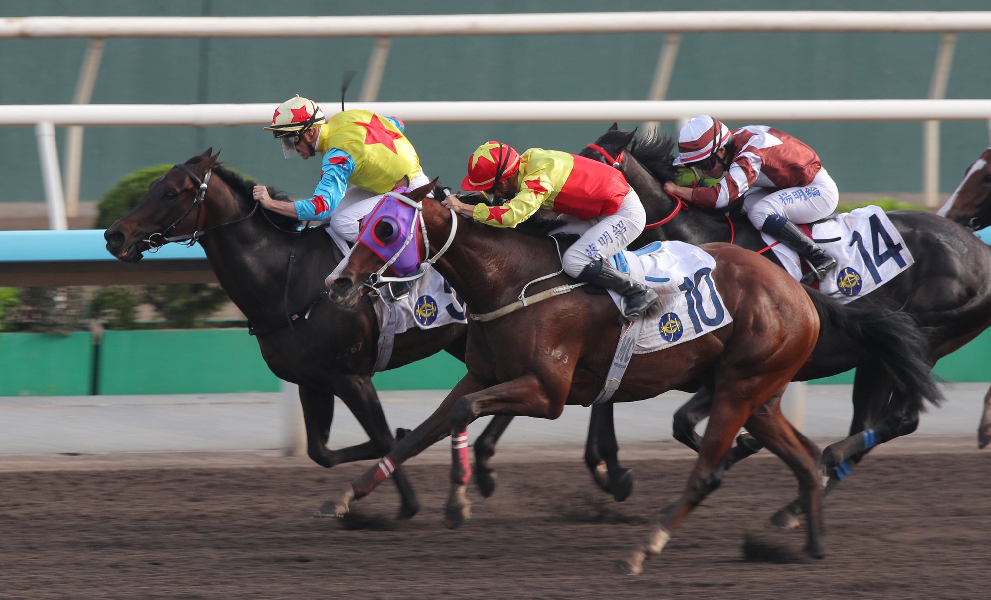 Supreme Agility gets up on the inside to win under Zac Purton.