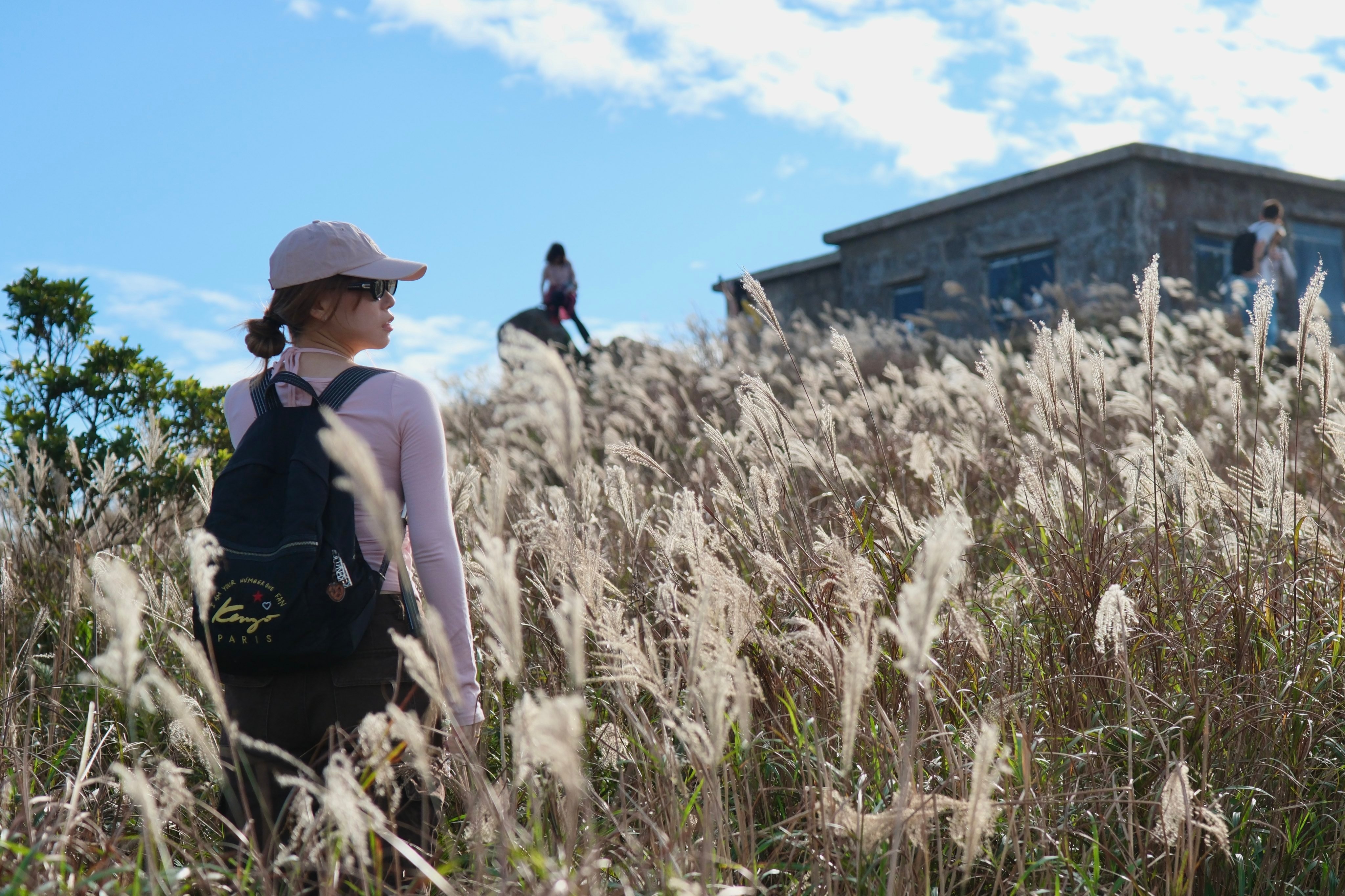 The silver grass and buildings on Sunset Peak attract tourists for scenic shots. Photo: Karma Lo