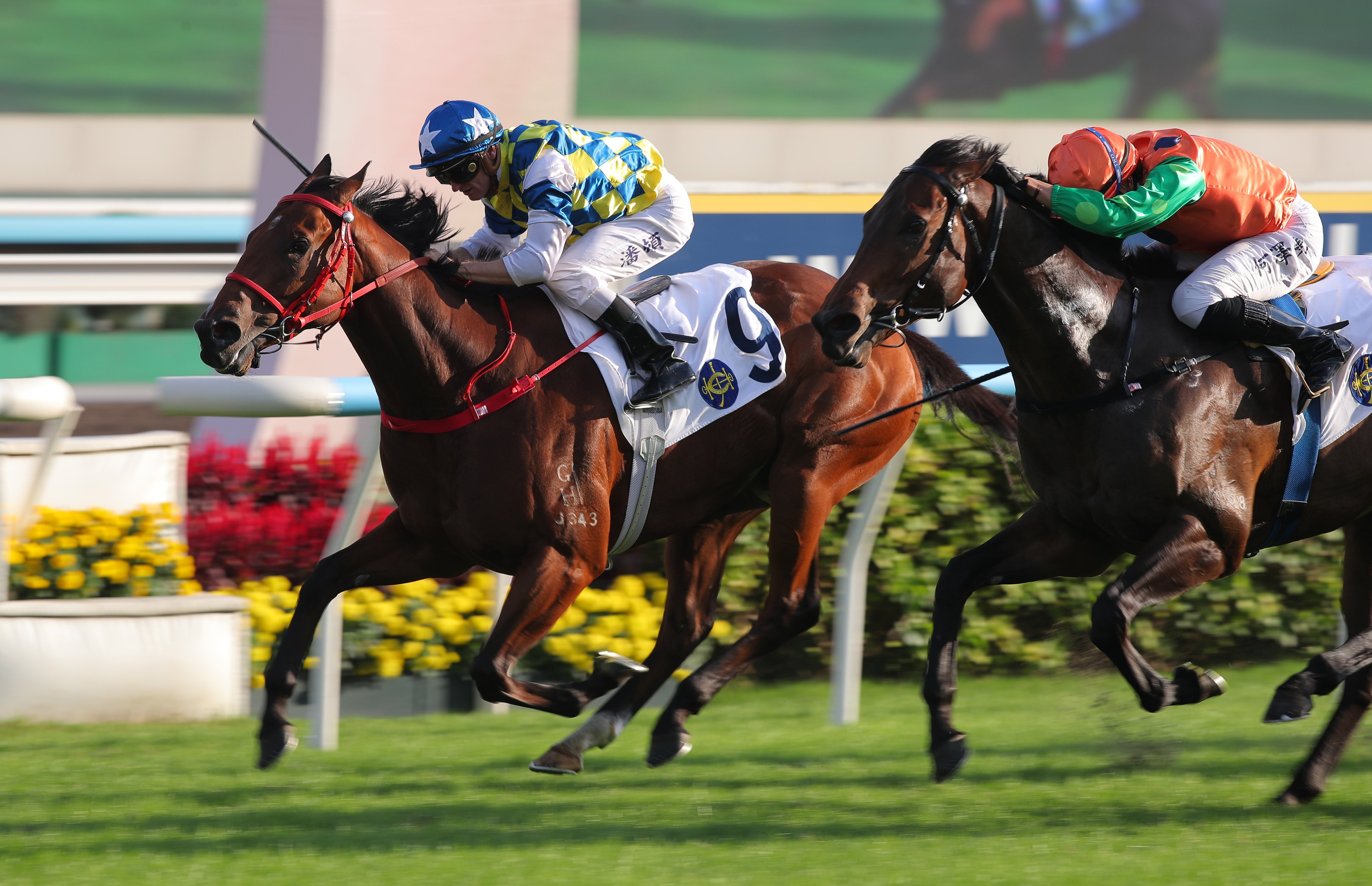Patch Of Stars fends off Invincible Shield to score at Sha Tin. Photos: Kenneth Chan