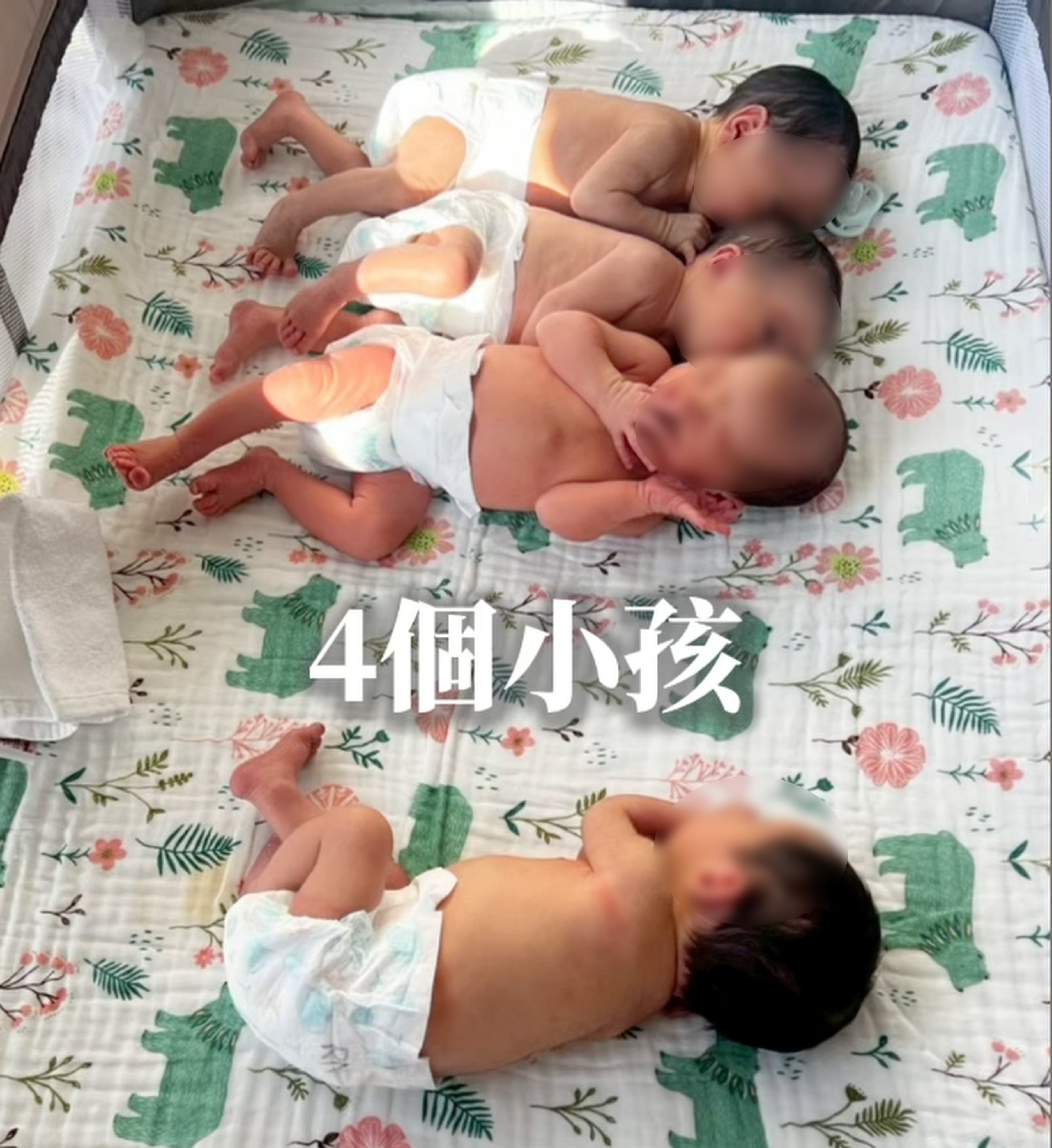 A gay couple from Taiwan have announced the arrival of four babies born through surrogacy in Mexico, triggering accusations of “buying babies.” Photo: IG@2dad.4madness