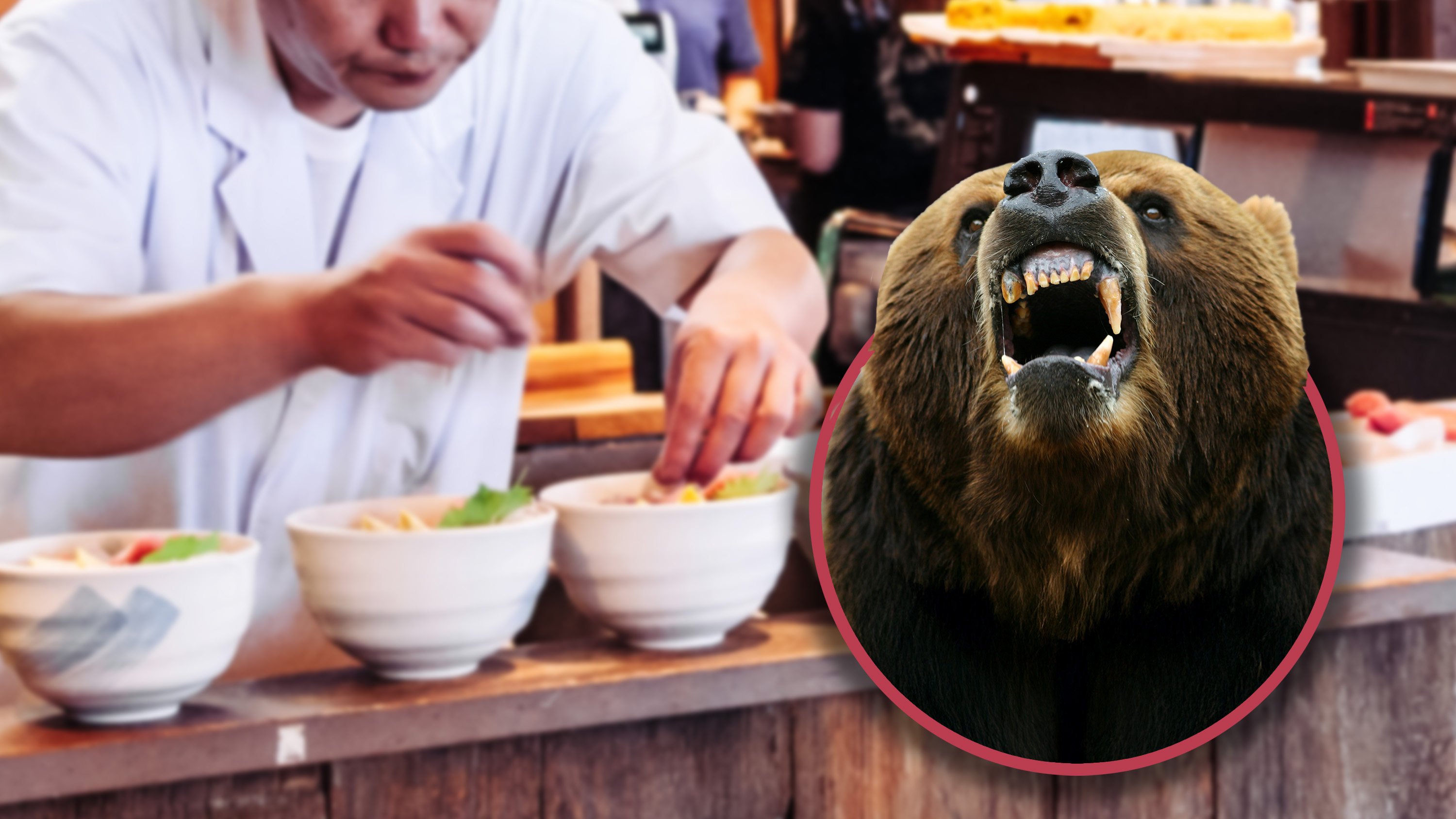 A cook at a ramen shop in Japan was attacked by a one-metre-tall bear early in the morning while preparing food before opening. Photo: Shutterstock