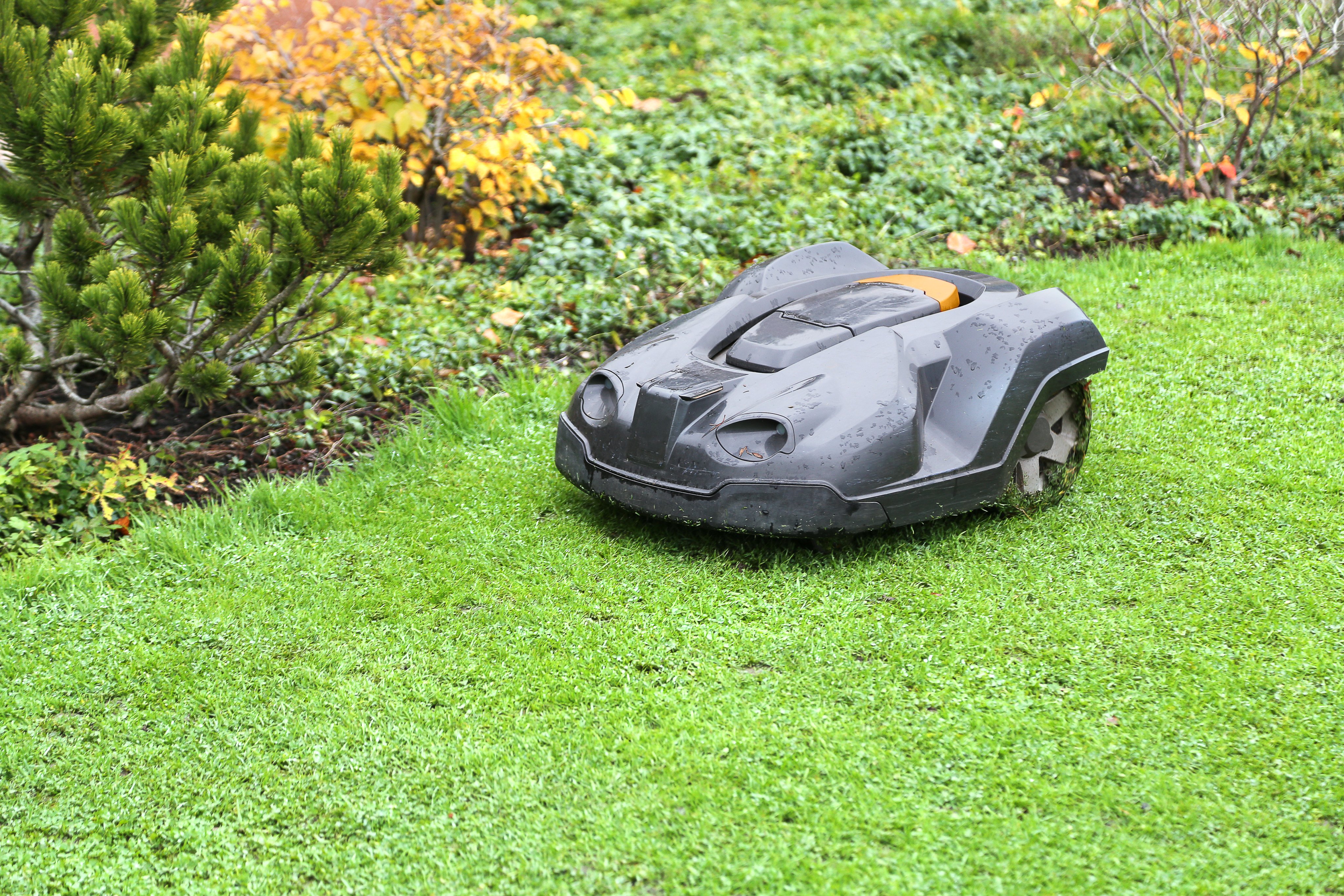 China has been selling more robotic lawnmowers to Europe, and at relatively higher prices, according to customs data. Photo: Getty Images