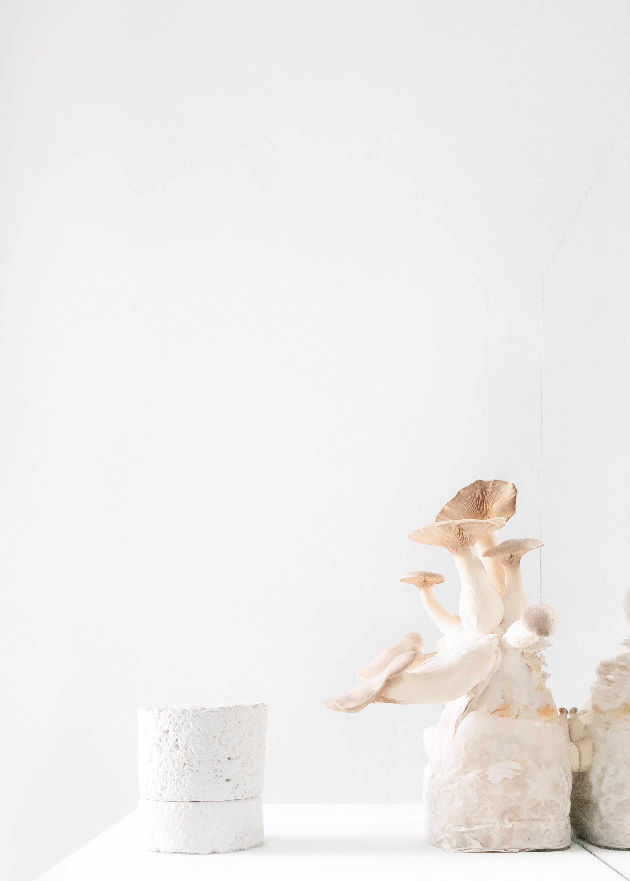 Amen’s Chakra candle comes in carbon negative packaging made of mushrooms. Photo: Handout