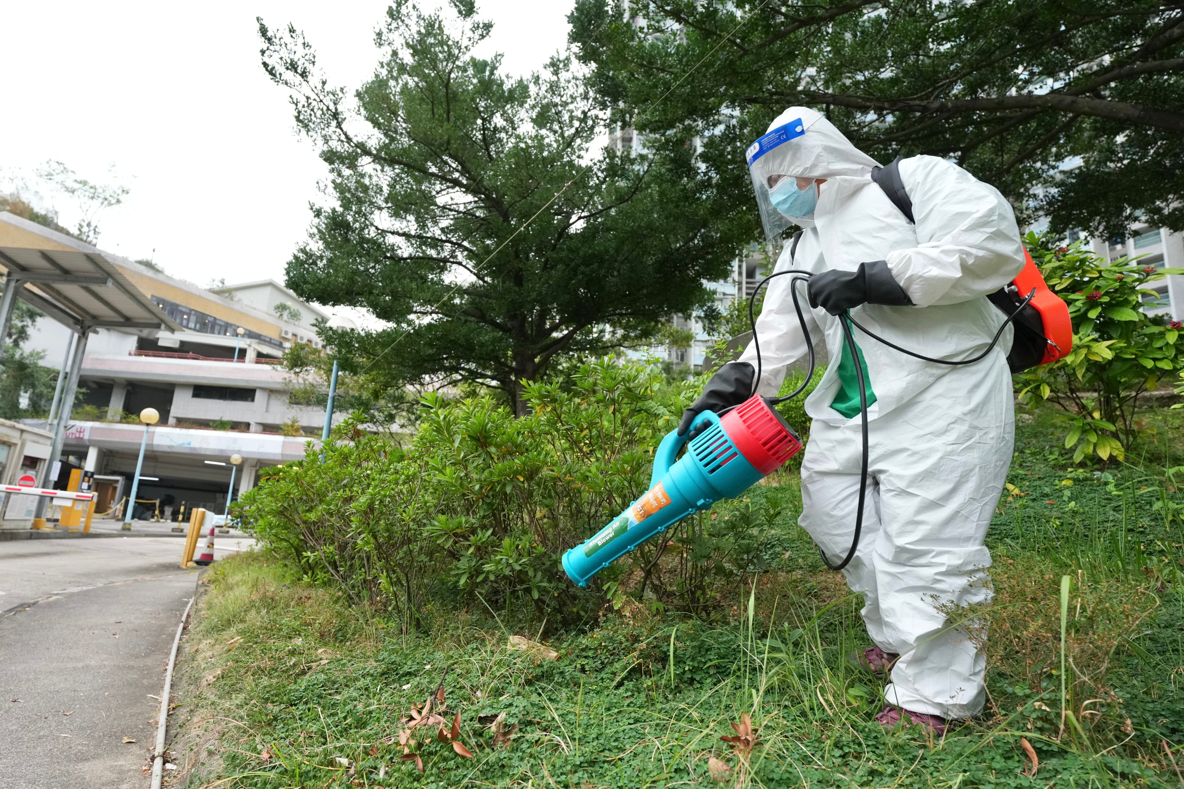 Authorities conduct anti-mosquito operations in Tsing Yi. Photo: Karma Lo