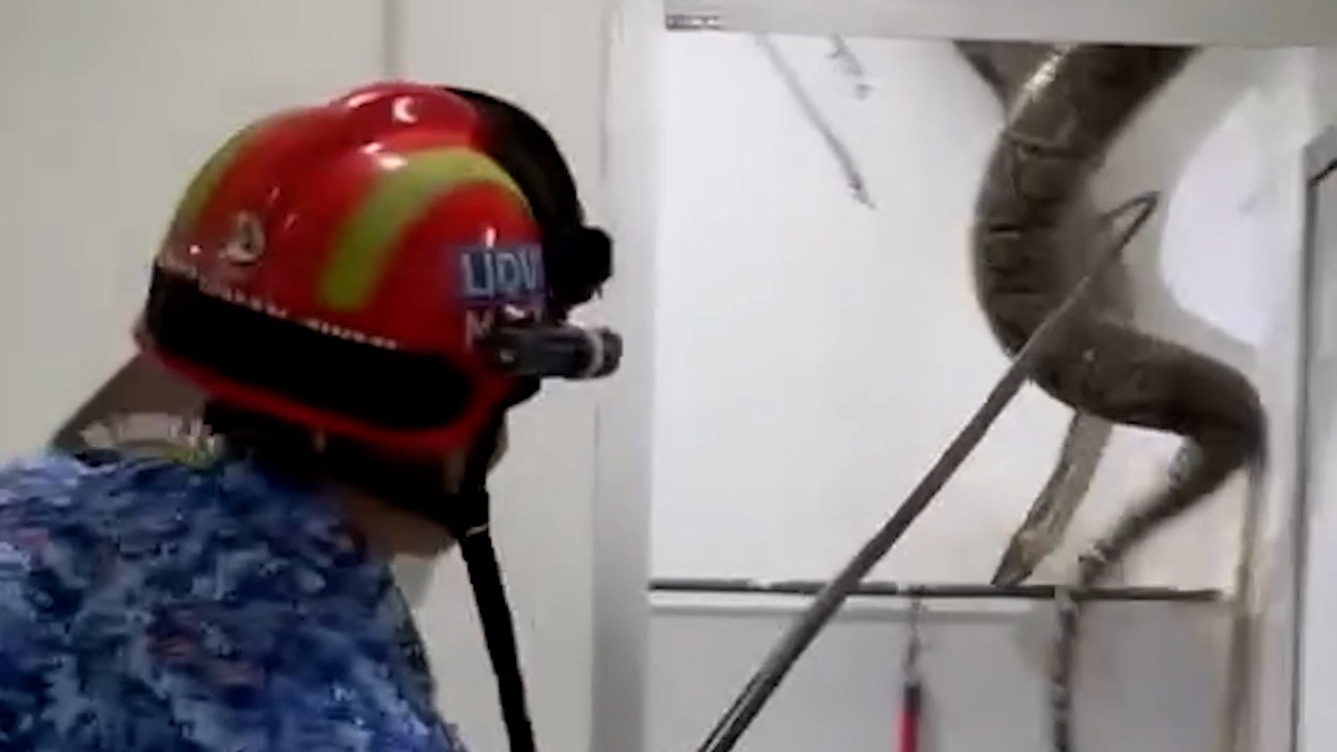 A 5-metre (16ft) long python made a surprise entrance after crashing through the bathroom ceiling of a Malaysian home.