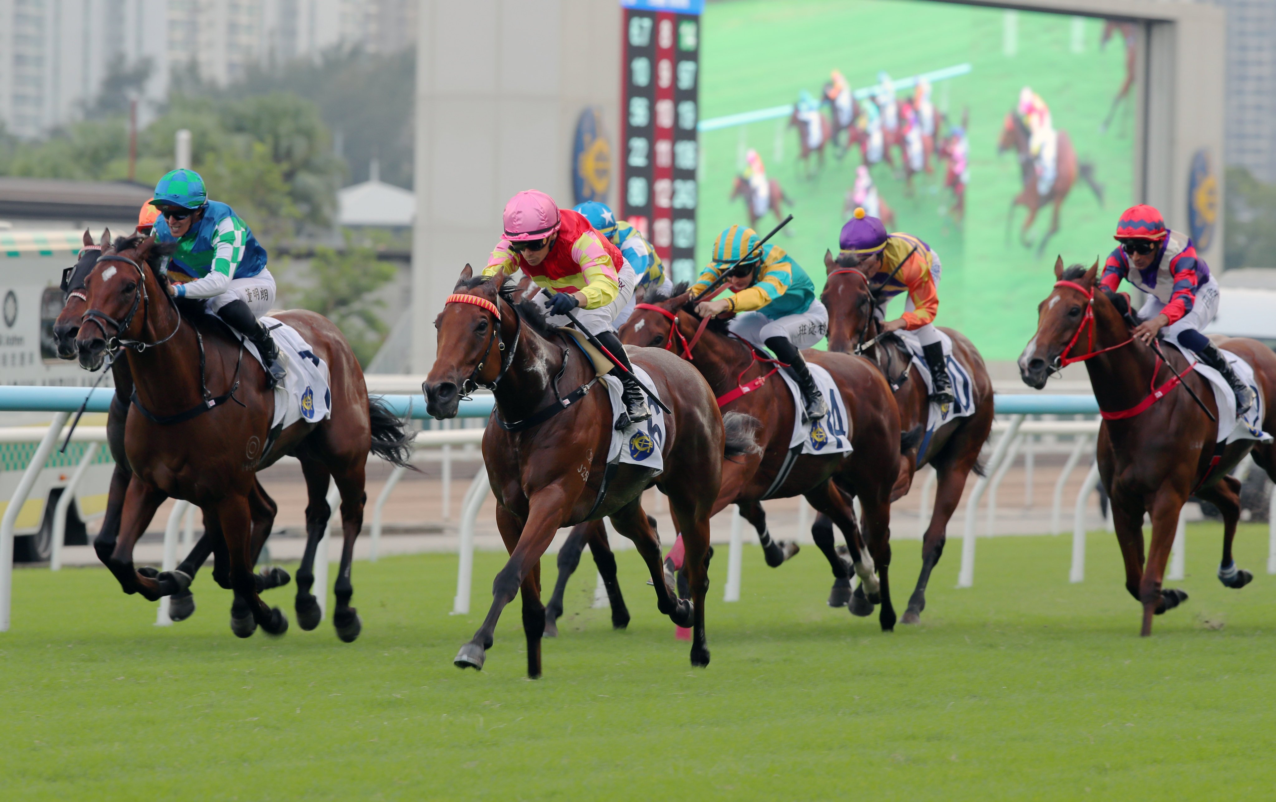 My Wish snares last month’s Group Two Sha Tin Trophy (1,600m). Photos: Kenneth Chan