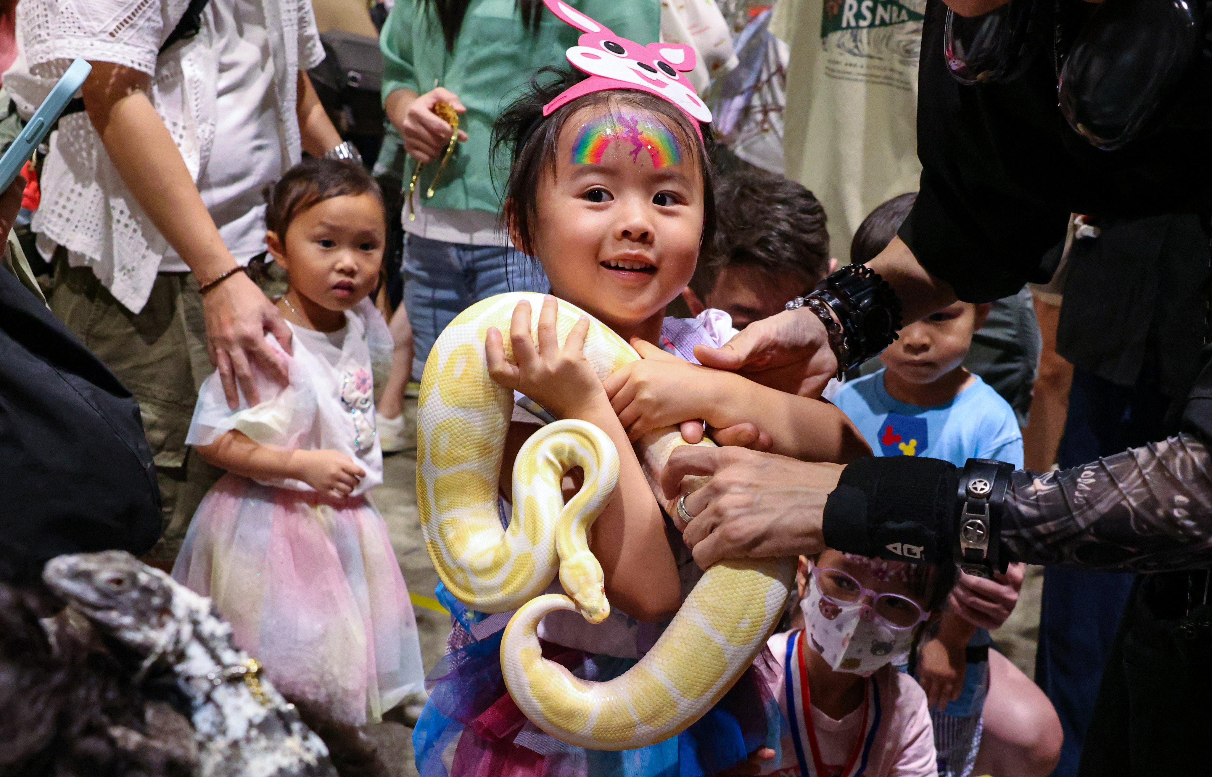 Snakes grab the attention of young visitors during the Premium Pet Supplies Expo 2025 at the Hong Kong Convention and Exhibition Centre on June 7, 2025. How’s your luck in the Year of the Snake’s 10th month? Feng shui master Andrew Kwan gives his predictions for all 12 Chinese zodiac animal signs. Photo: Nora Tam