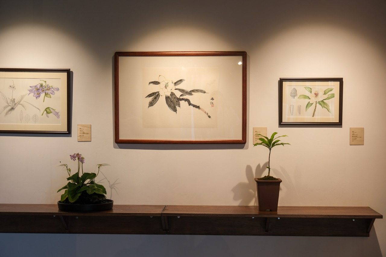 “Impressions, Expressions – Feeling and Depicting Nature” aims to combine the precision of science and the fluidity of art to tell a story about Hong Kong’s plants. Photo: Handout