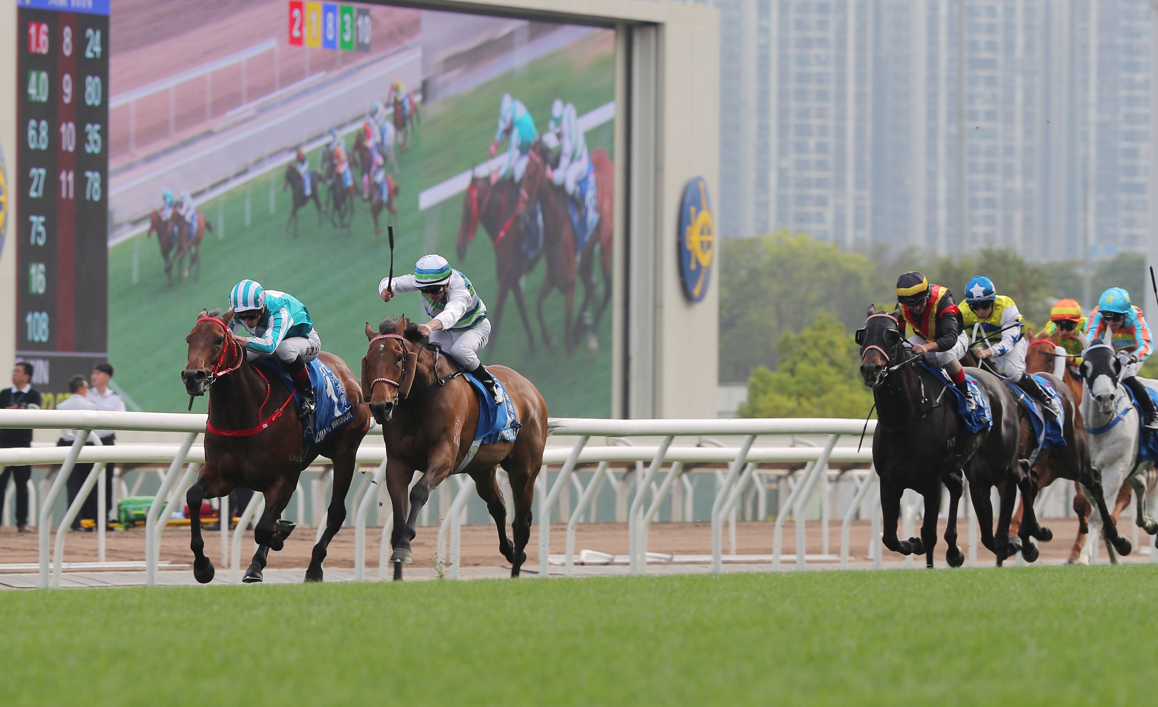 Romantic Warrior (left) outduels Voyage Bubble in last year’s Group One Gold Cup (2,000m) at Sha Tin. Photo: Kenneth Chan