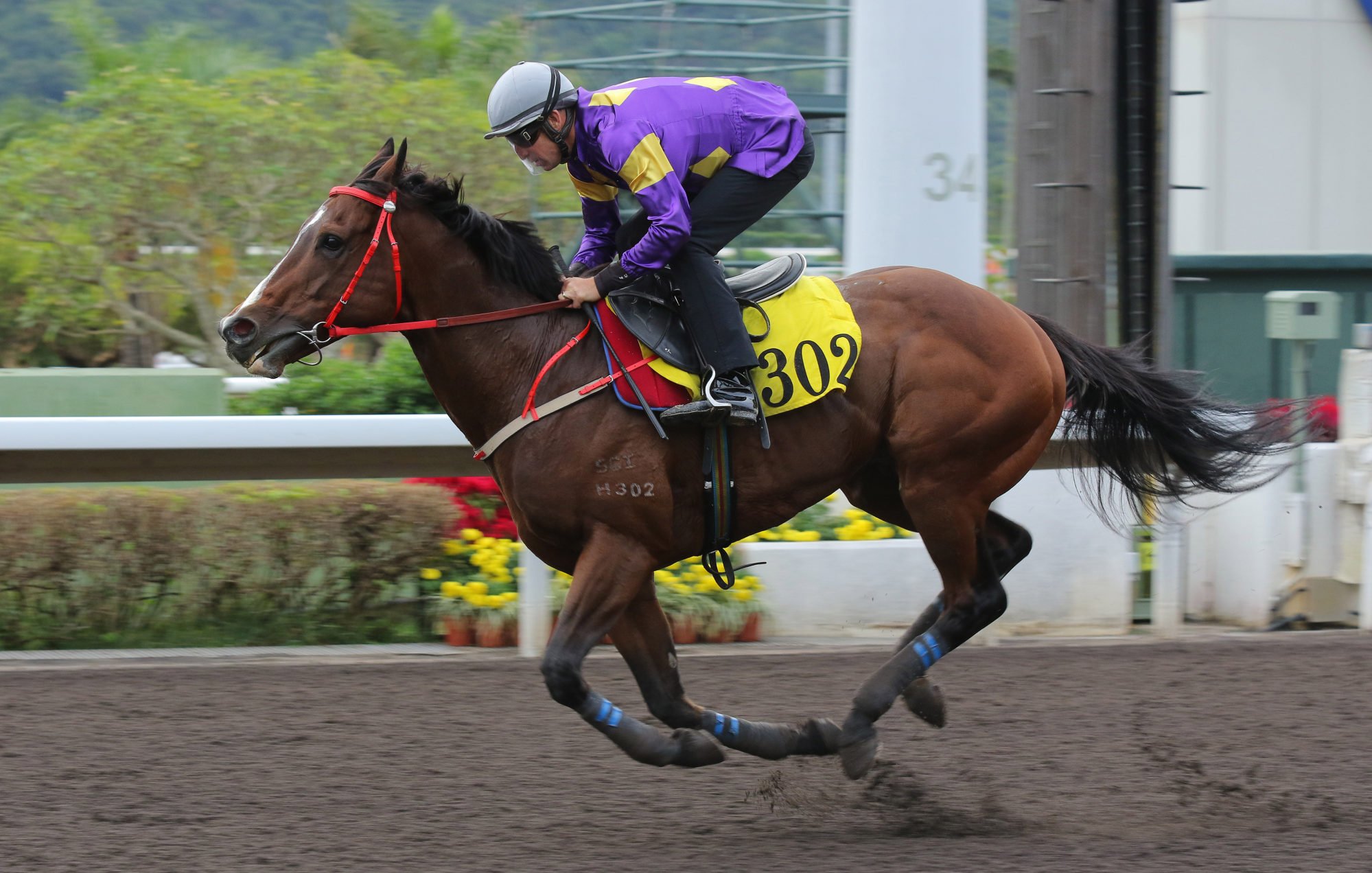 Helios Express in action in last week’s dirt trial. Helios Express in action in last week’s dirt trial.