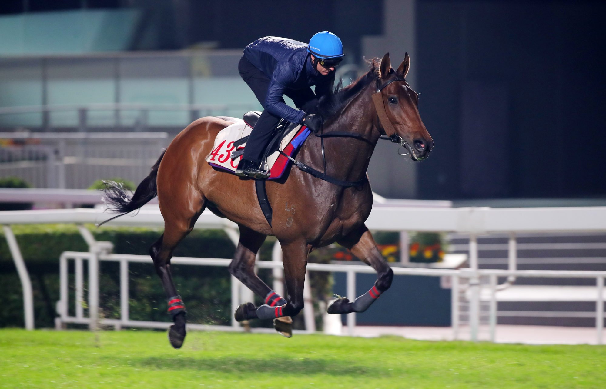 Zac Purton gallops Voyage Bubble on Tuesday morning.