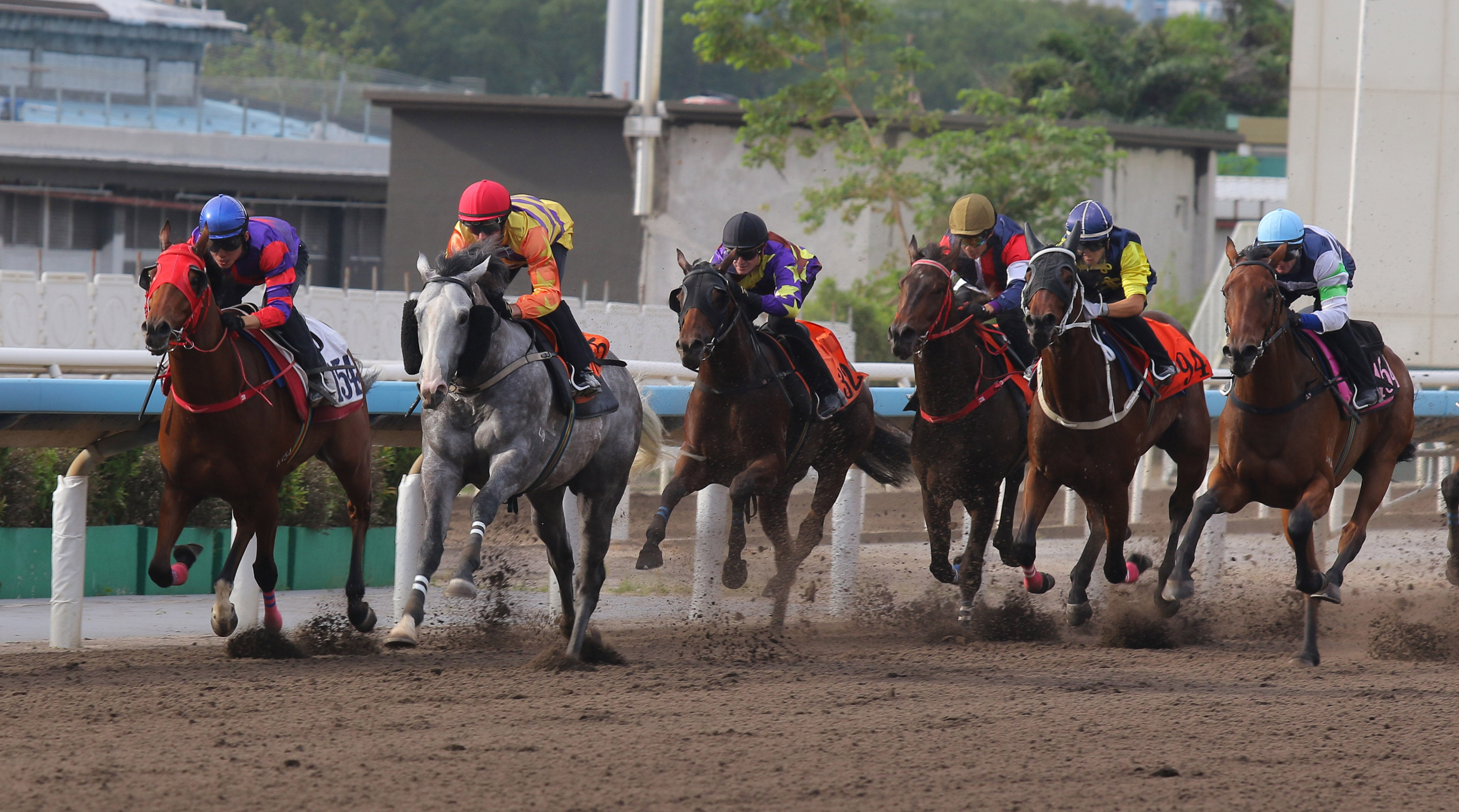 Public Attention (grey) trials at Sha Tin. Photos: Kenneth Chan