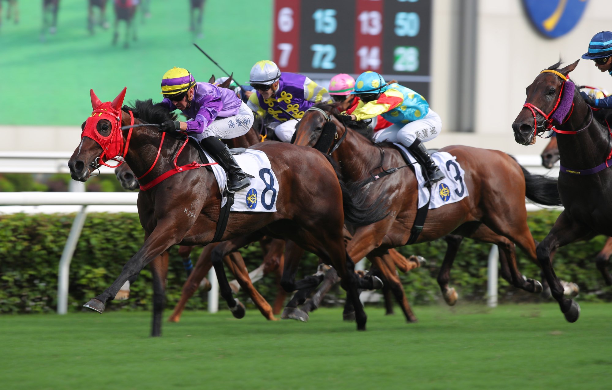 All’s Well wins at Sha Tin in July. All’s Well wins at Sha Tin in July.