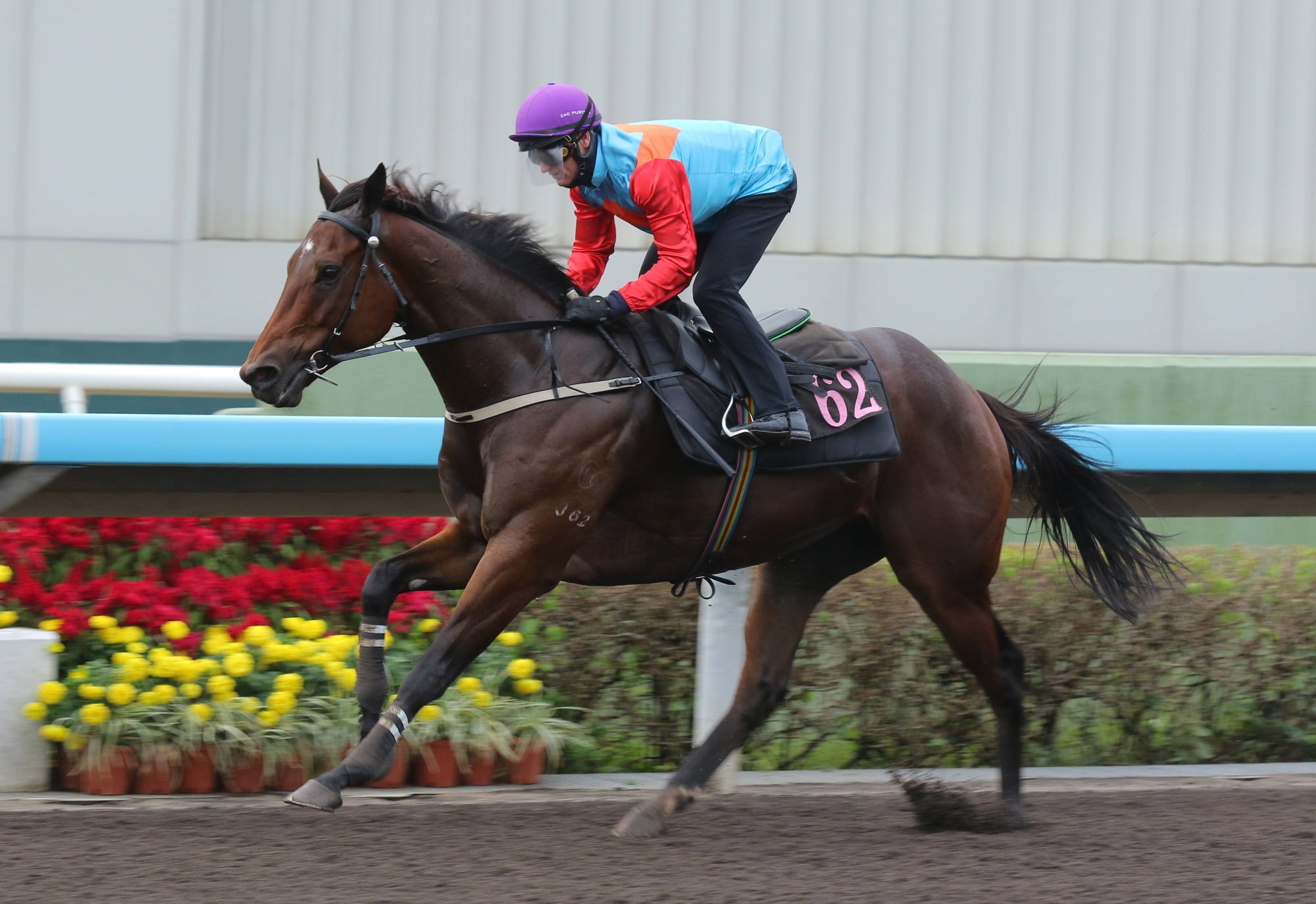 Ka Ying Rising cruises to victory in last week’s dirt trial.