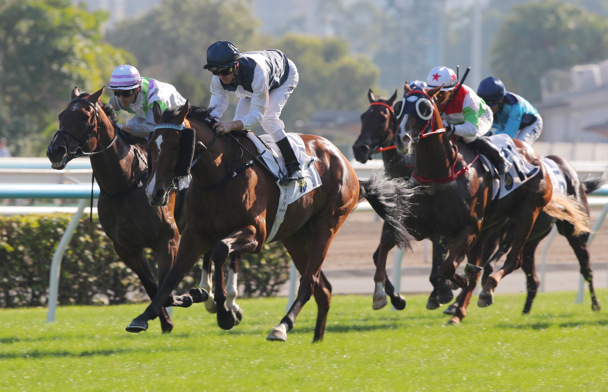 Invincible Ibis surges to victory under Zac Purton.