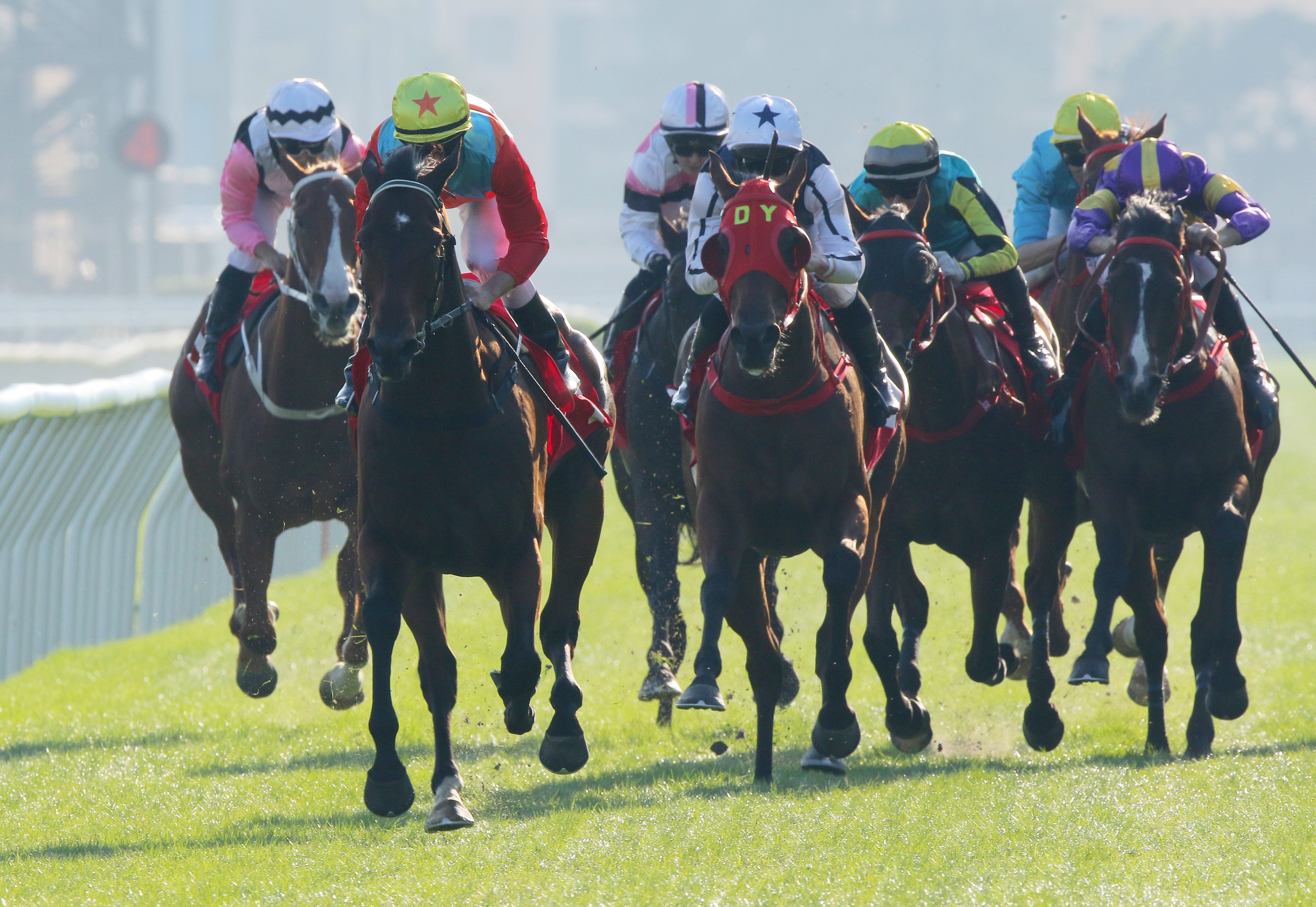 Ka Ying Rising (red sleeves) storms to yet another win at Sha Tin on Sunday. Photos: Kenneth Chan