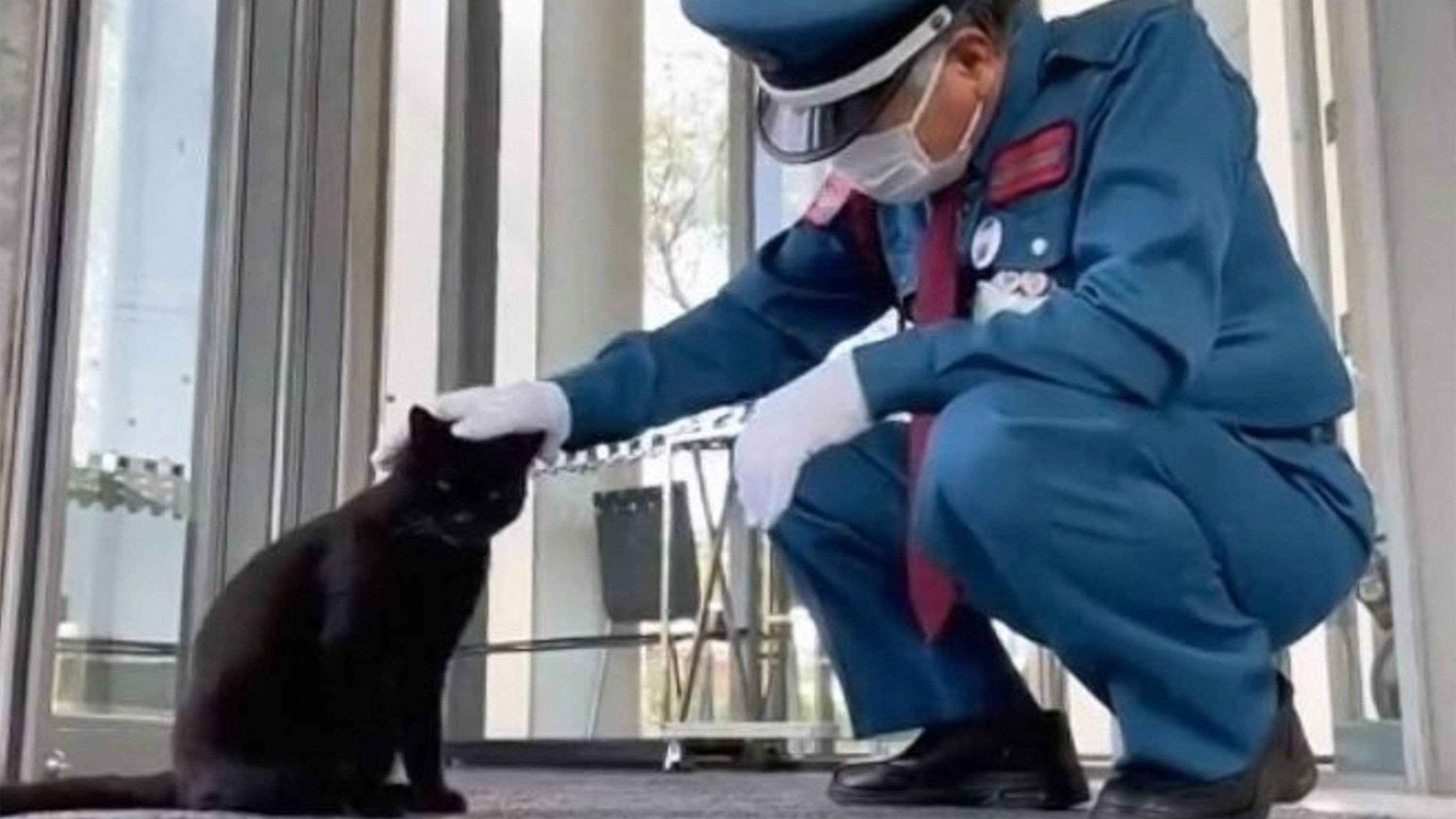 A special bond between a museum security guard in Japan and a black cat, who visited only when the guard was on duty, has caught the public’s attention. Photo: X.com