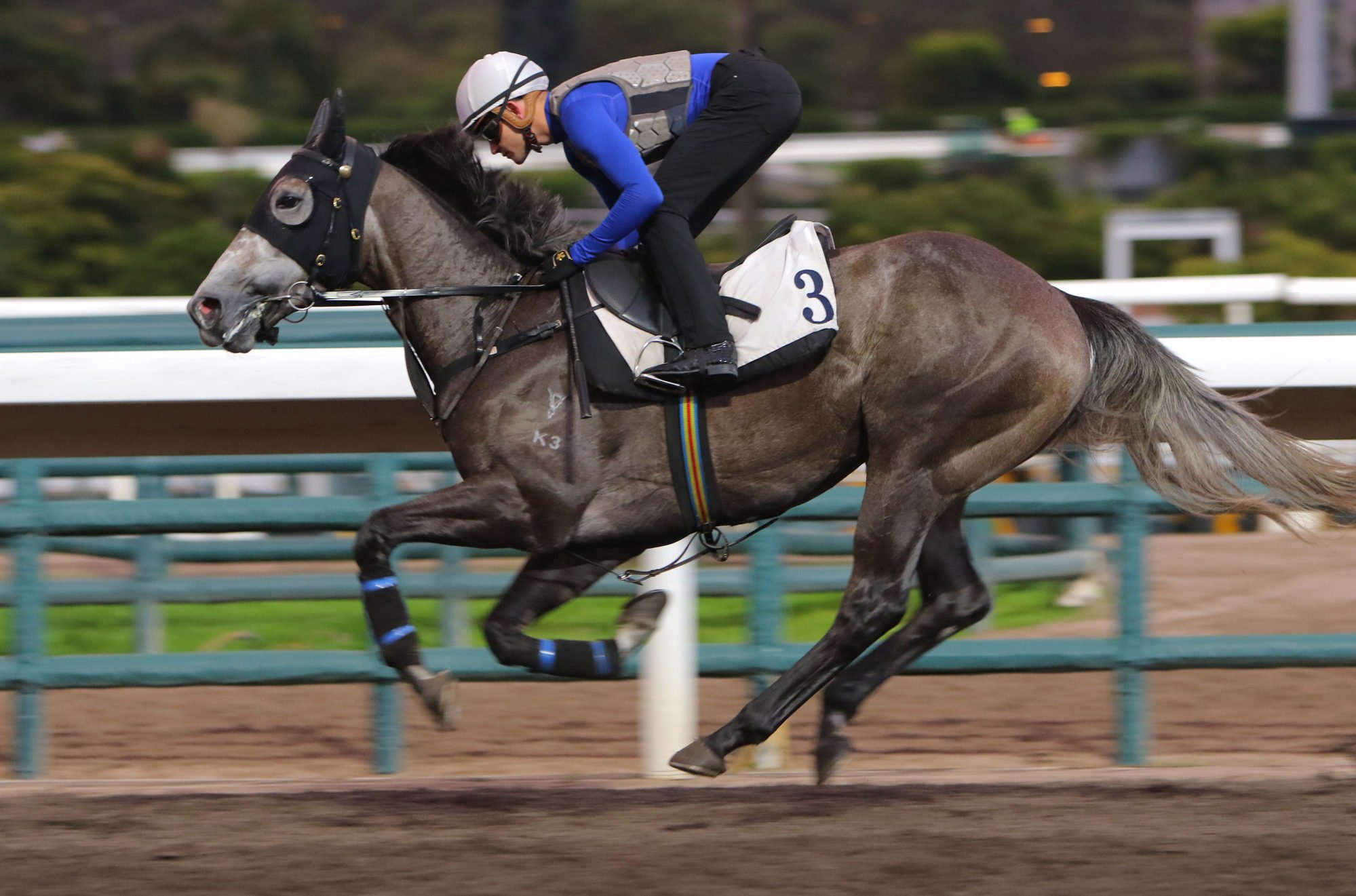 Fortune Star gallops on the dirt under Luke Ferraris.