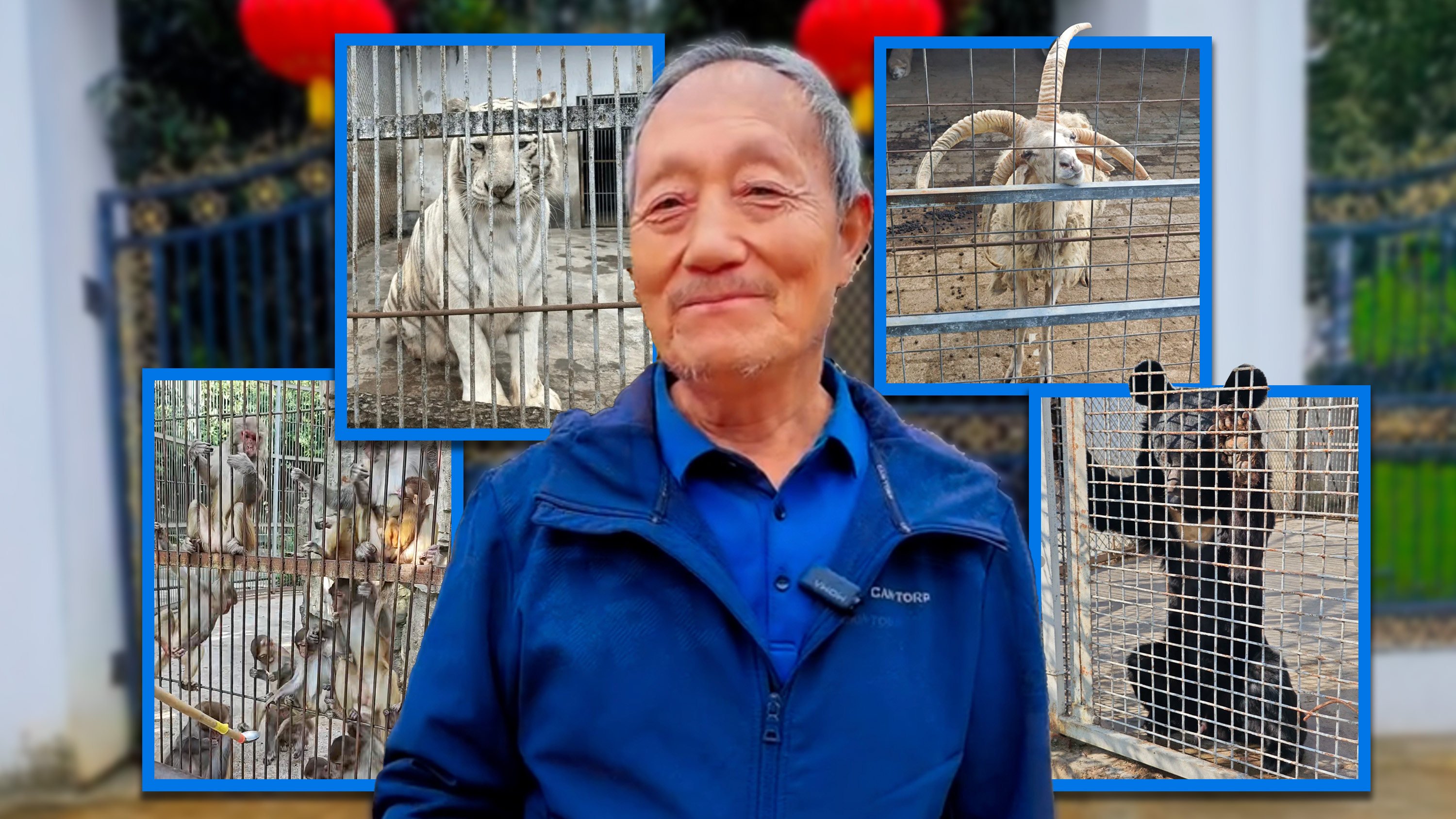 A small zoo in China’s Guizhou province recently went viral thanks to the director’s care of the animals. Photo: RedNote