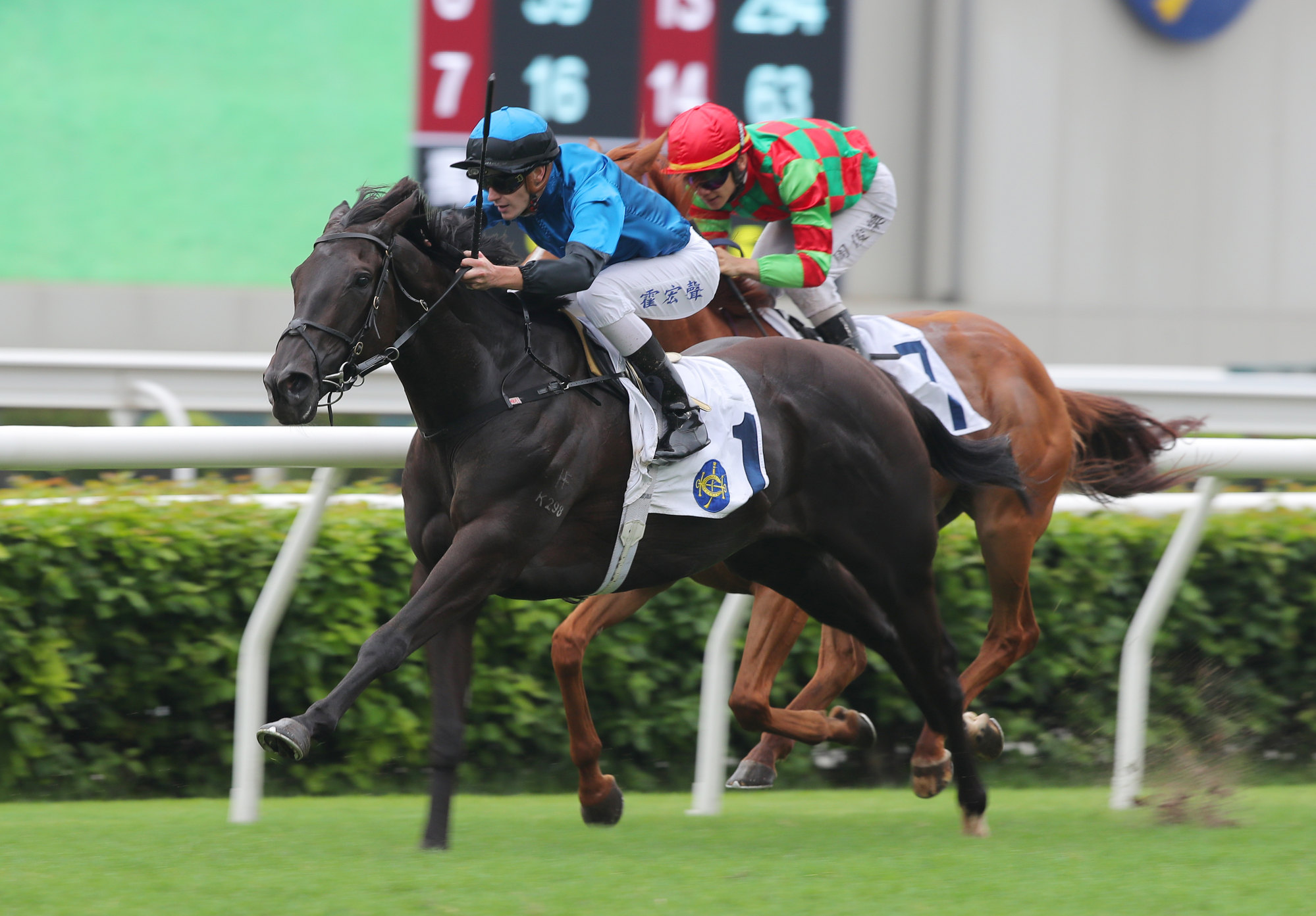 Dazzling Fit wins at Sha Tin last term under Luke Ferraris. Dazzling Fit wins at Sha Tin last term under Luke Ferraris.