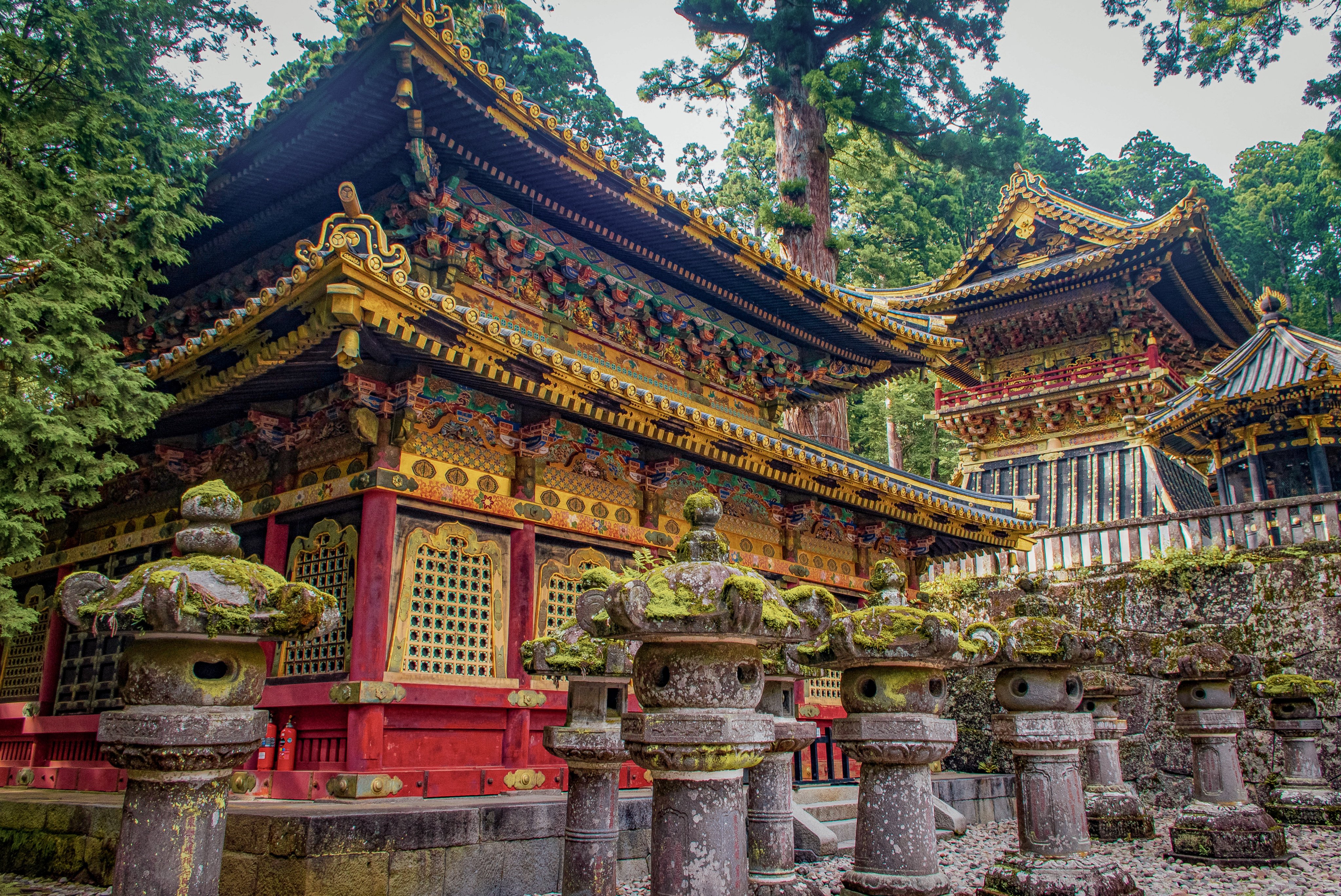 Priceless documents and artefacts at Japan’s temples and shrines could be damaged by a fast-spreading invasive insect. Photo: Shutterstock
