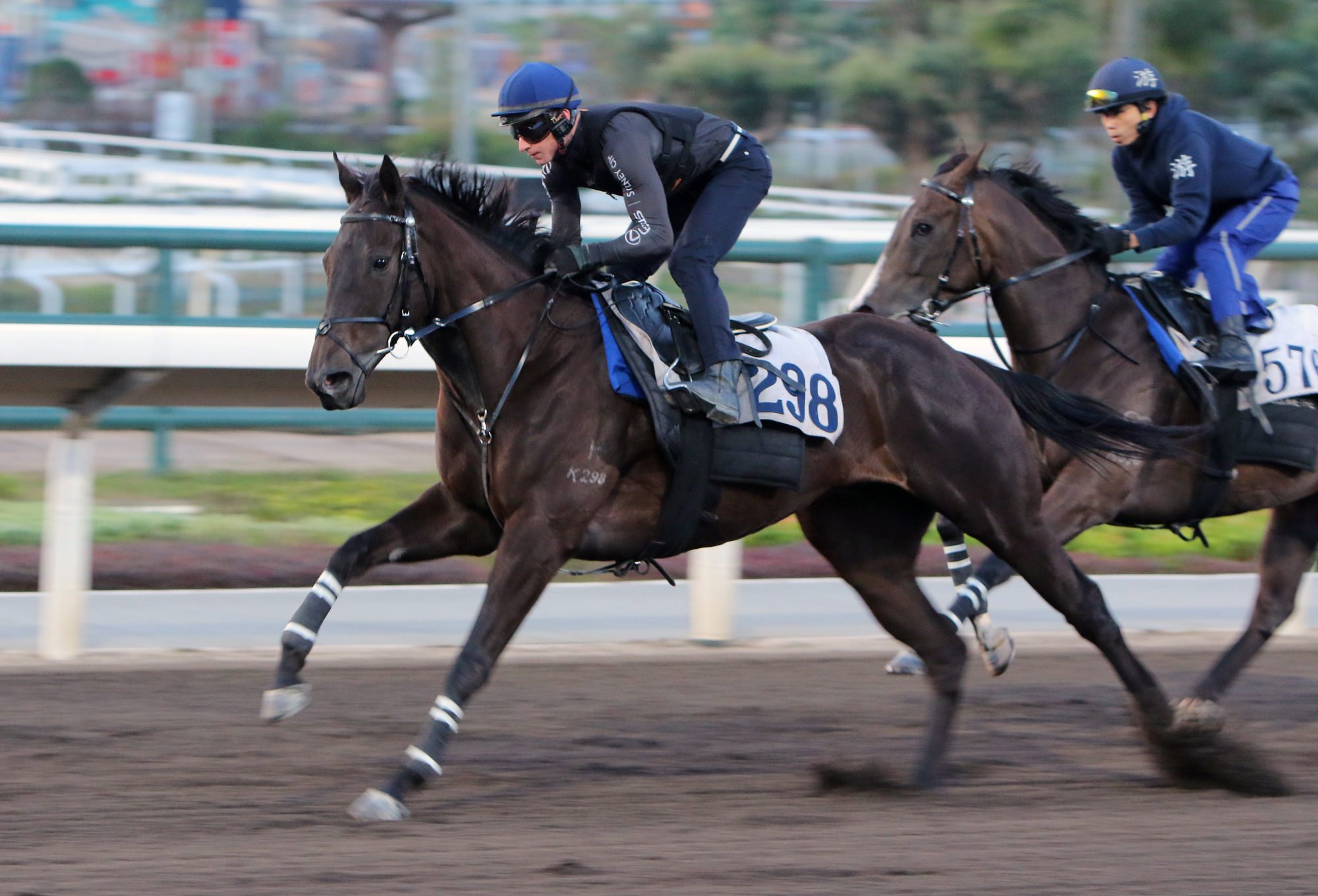 James McDonald gallops Dazzling Fit on the dirt on Tuesday morning. James McDonald gallops Dazzling Fit on the dirt on Tuesday morning.
