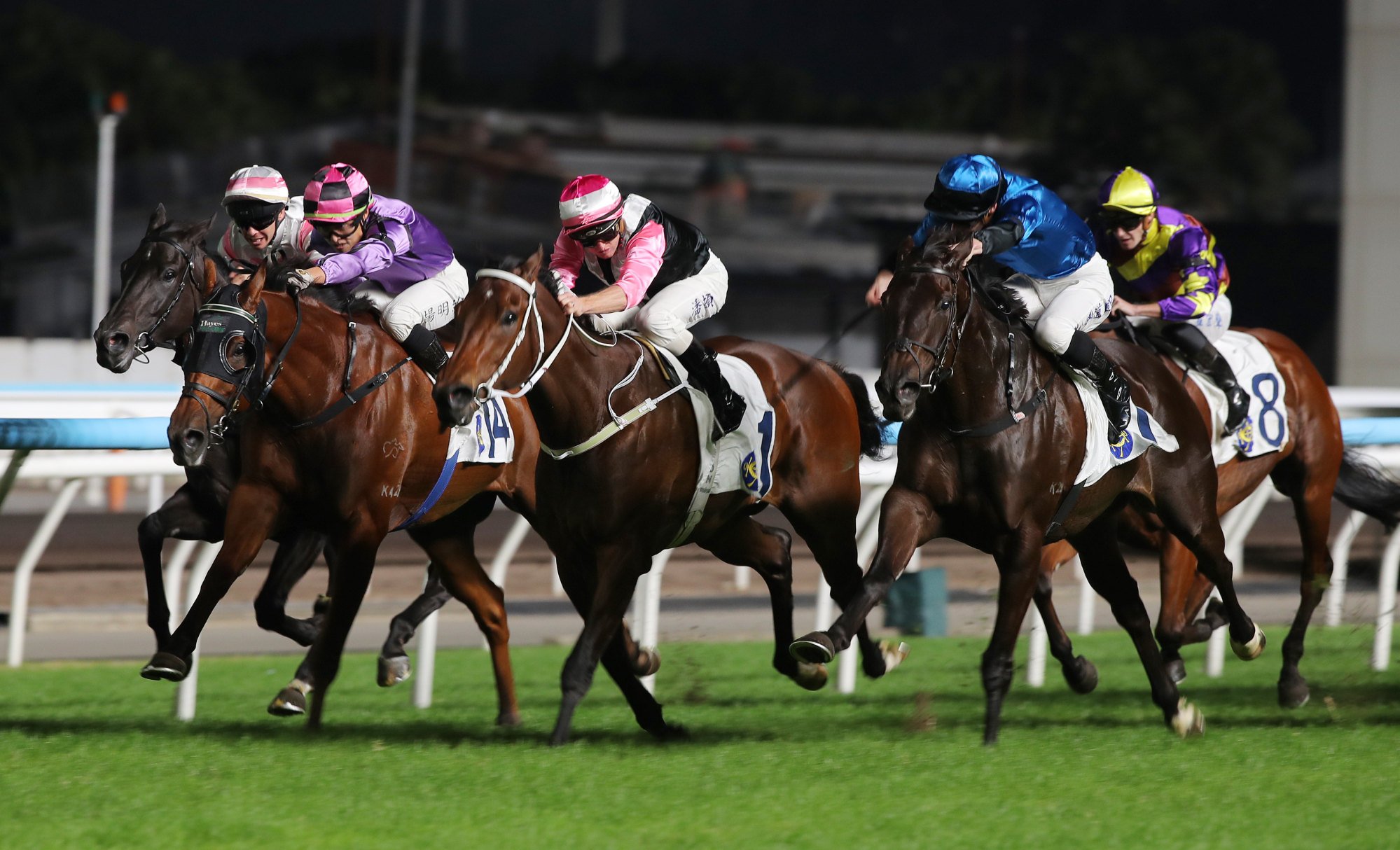 Dazzling Fit storms home down the outside under James McDonald. Dazzling Fit storms home down the outside under James McDonald.