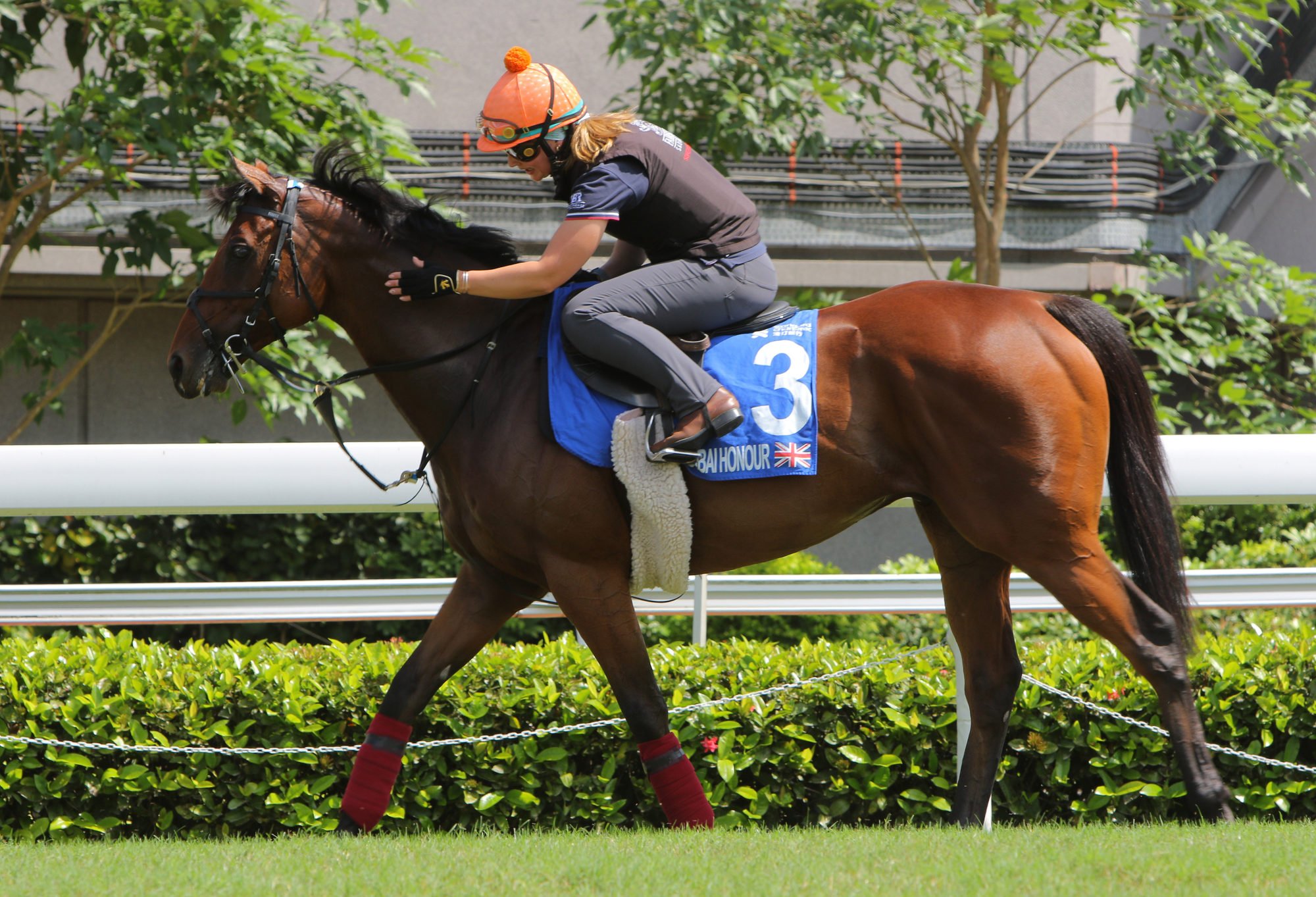 Dubai Honour works at Sha Tin in May.