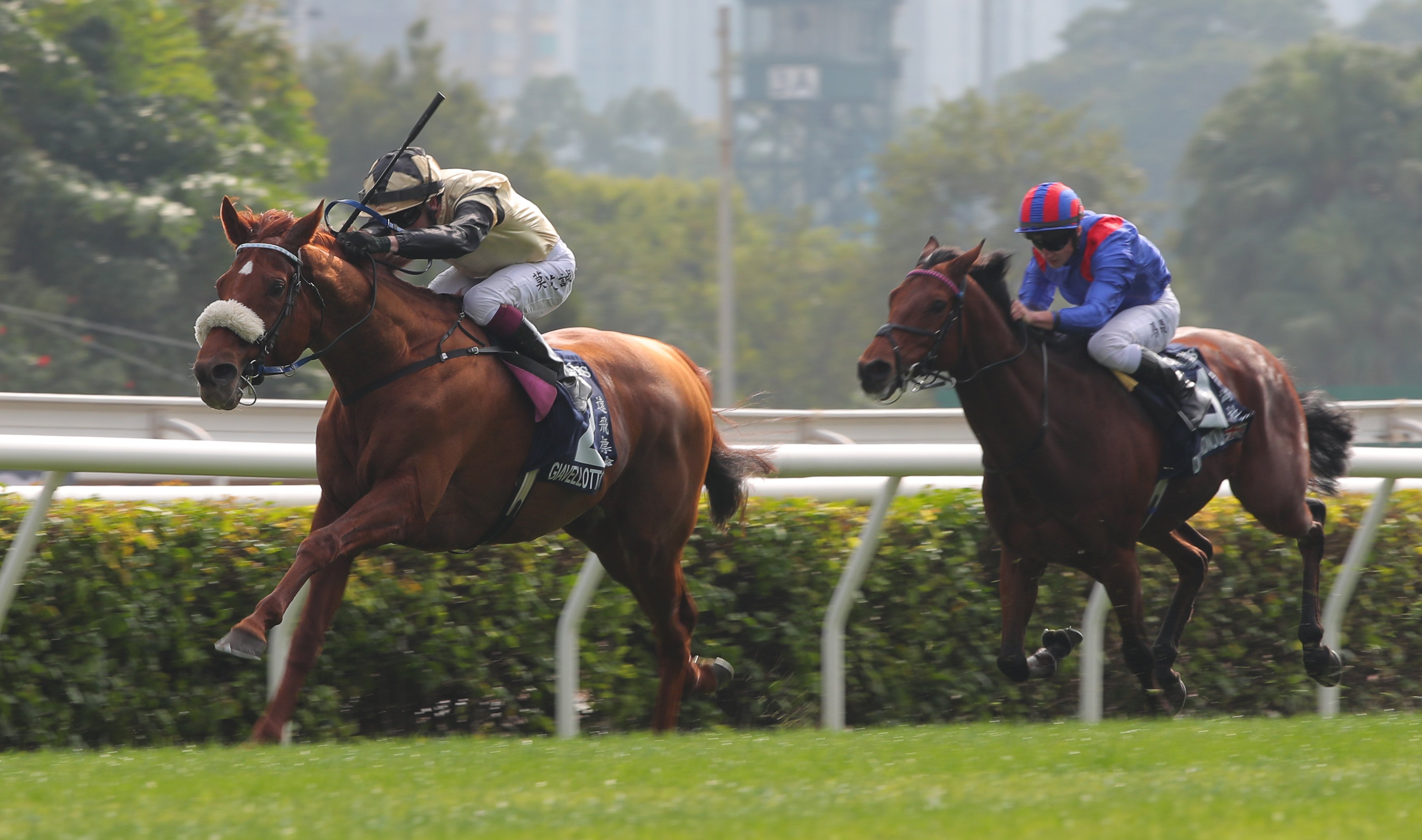 Dubai Honour finishes second to Giavellotto in last year’s Hong Kong Vase. Photos: Kenneth Chan