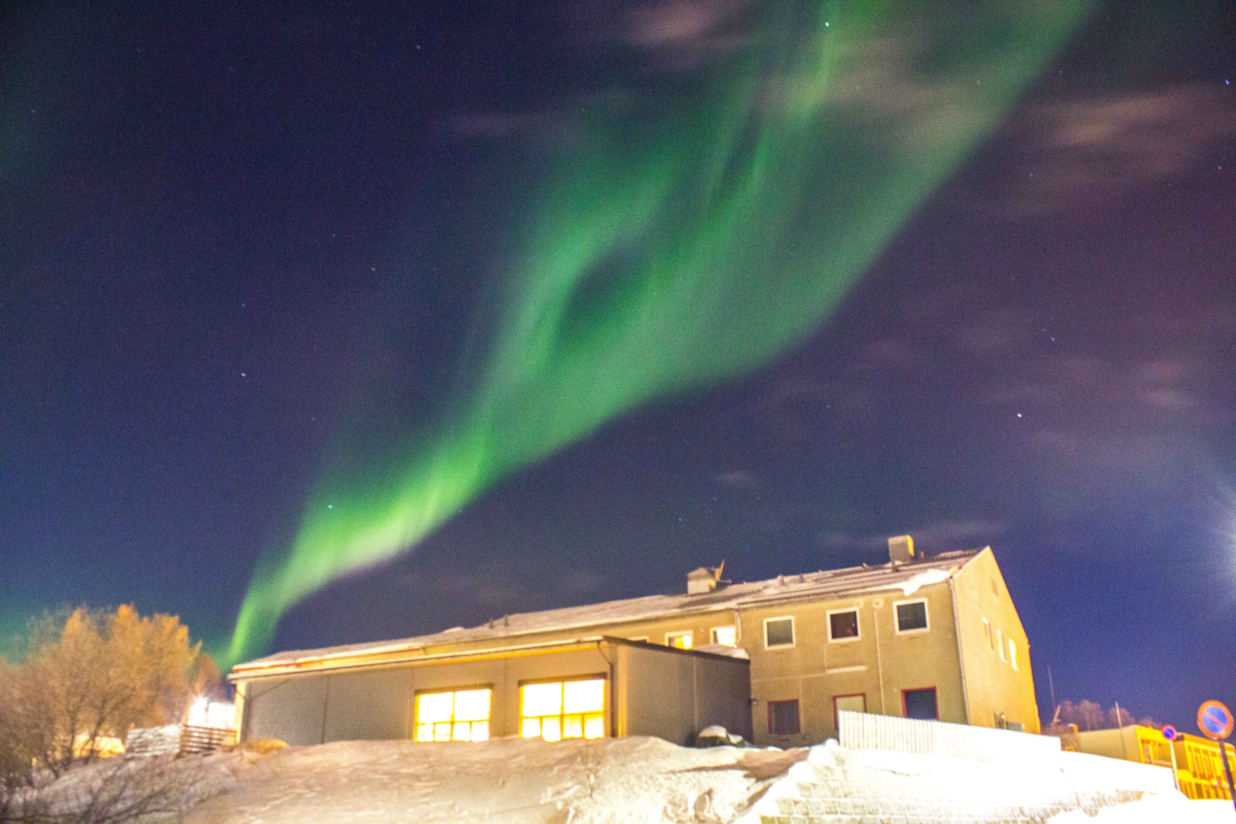 A picture of the Northern Lights taken in Kirkenes, Norway. Photo: Courtesy of Exodus Sit