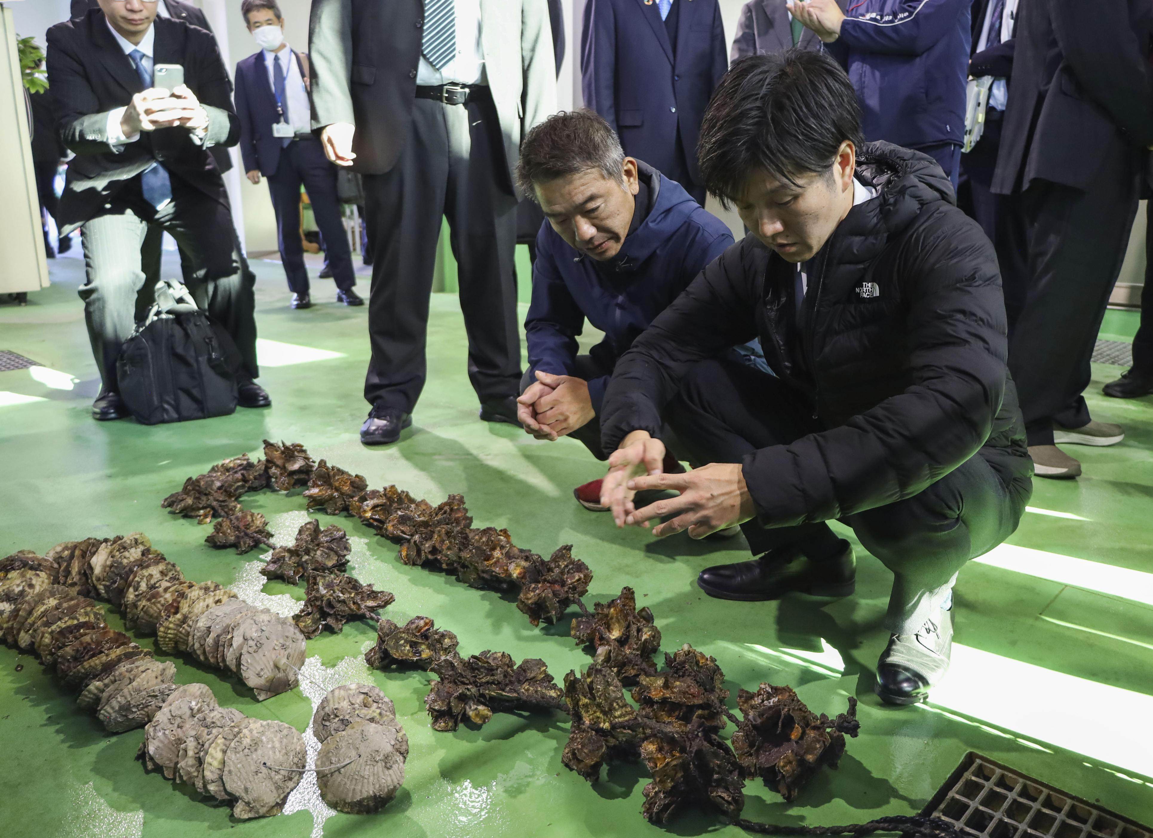 Japanese Agriculture, Forestry and Fisheries Minister Norikazu Suzuki (right) is briefed by an oyster farmer in Hiroshima Prefecture, last month following reports of mass die-offs of the shellfish. Photo: Kyodo