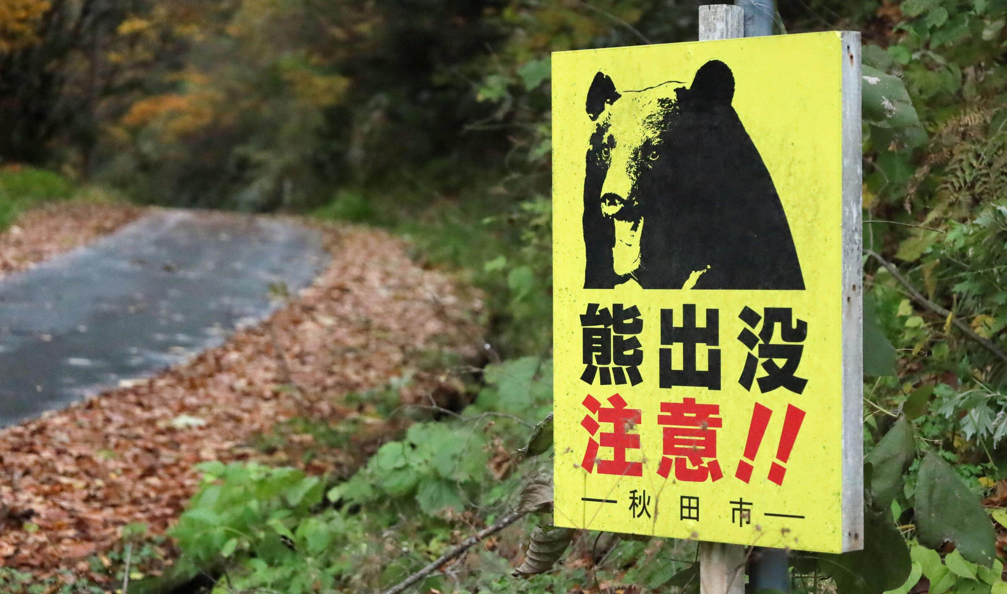 A signboard posted on a trail in Akita, northeastern Japan, warns of bear sightings following a series of attacks in the region. Photo: Kyodo