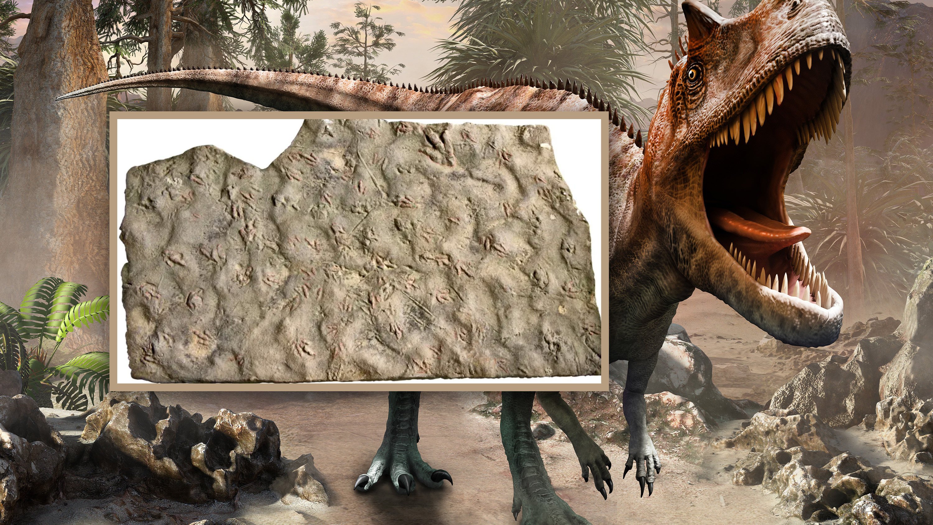 Two brothers in China discover that flat rocks they had used as stepping stones for nearly 20 years are, in fact, 190 million-year-old dinosaur footprint fossils. Photo: SCMP composite/Shutterstock/QQ.com