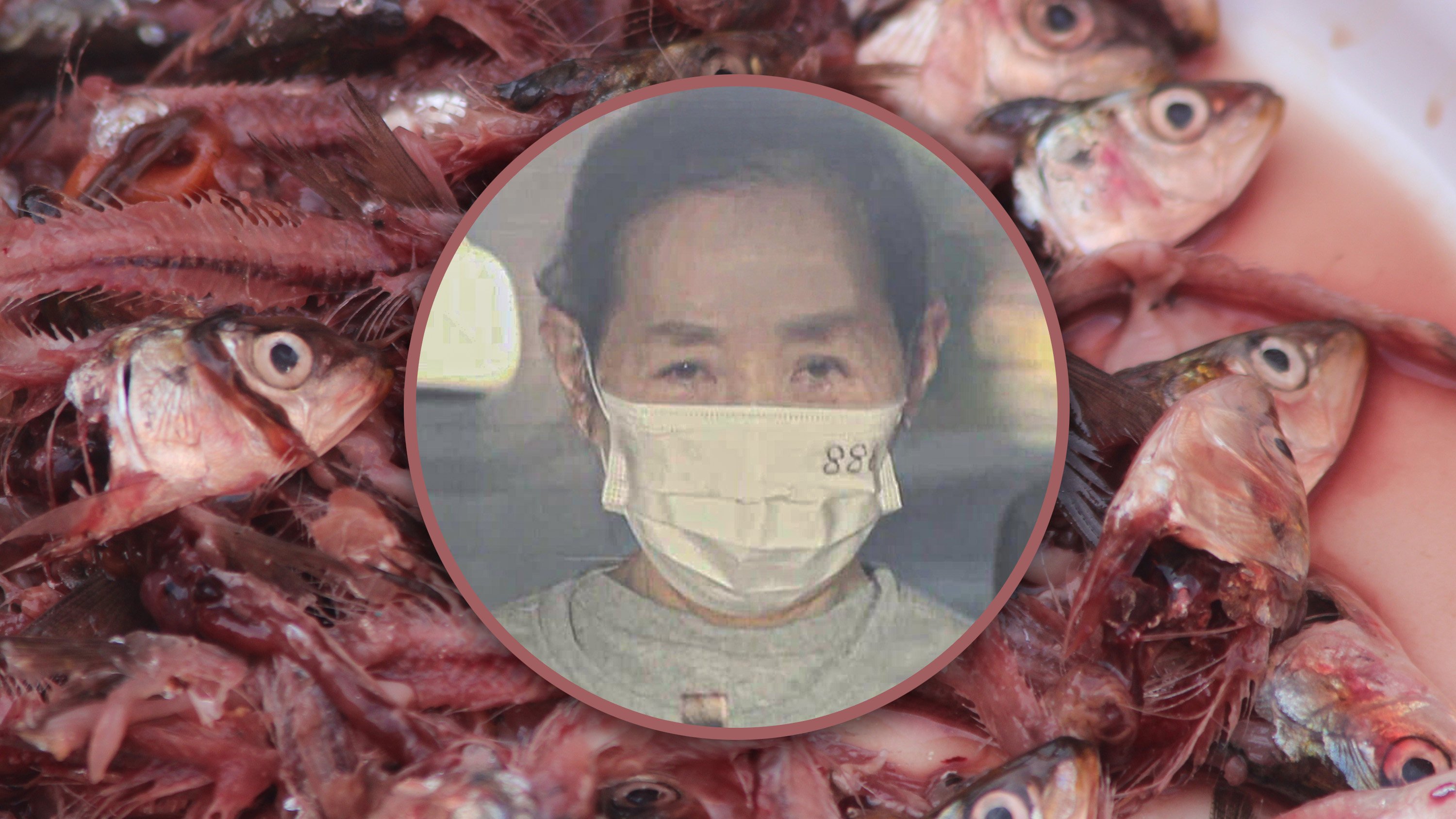 A Chinese woman has been arrested for stealing 30kg of leftover fish bones at a Japanese wet market and reportedly using them to prepare meals for herself, her staff and customers. Photo: SCMP composite/Shutterstock/JHN