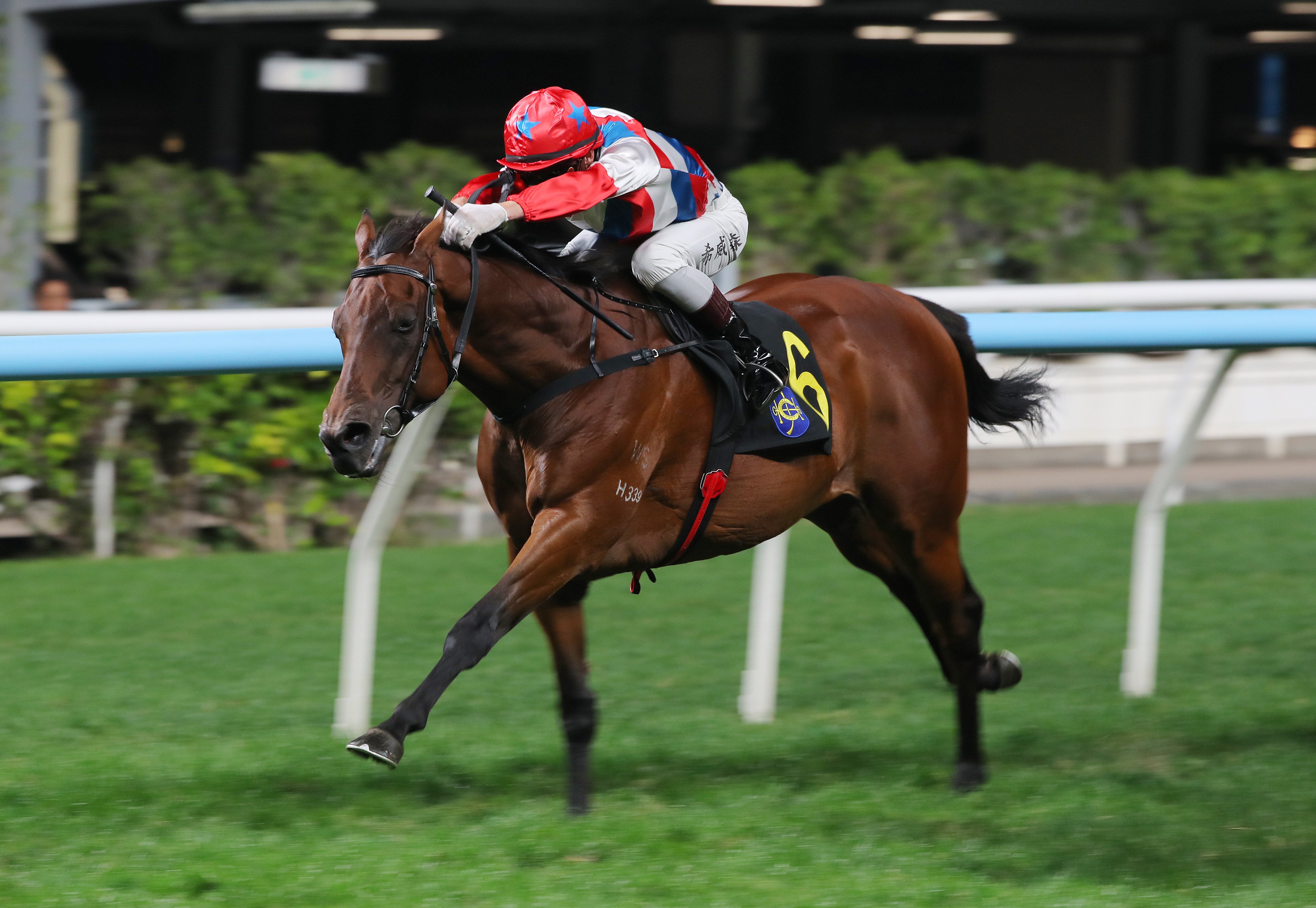 Ninja Derby and Lyle Hewitson win at Happy Valley. Photos: Kenneth Chan