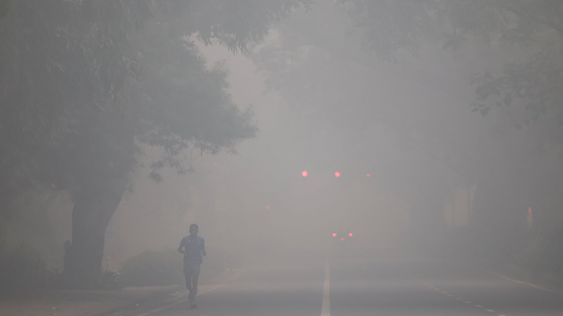 New Delhi records over 200,000 respiratory cases due to toxic air