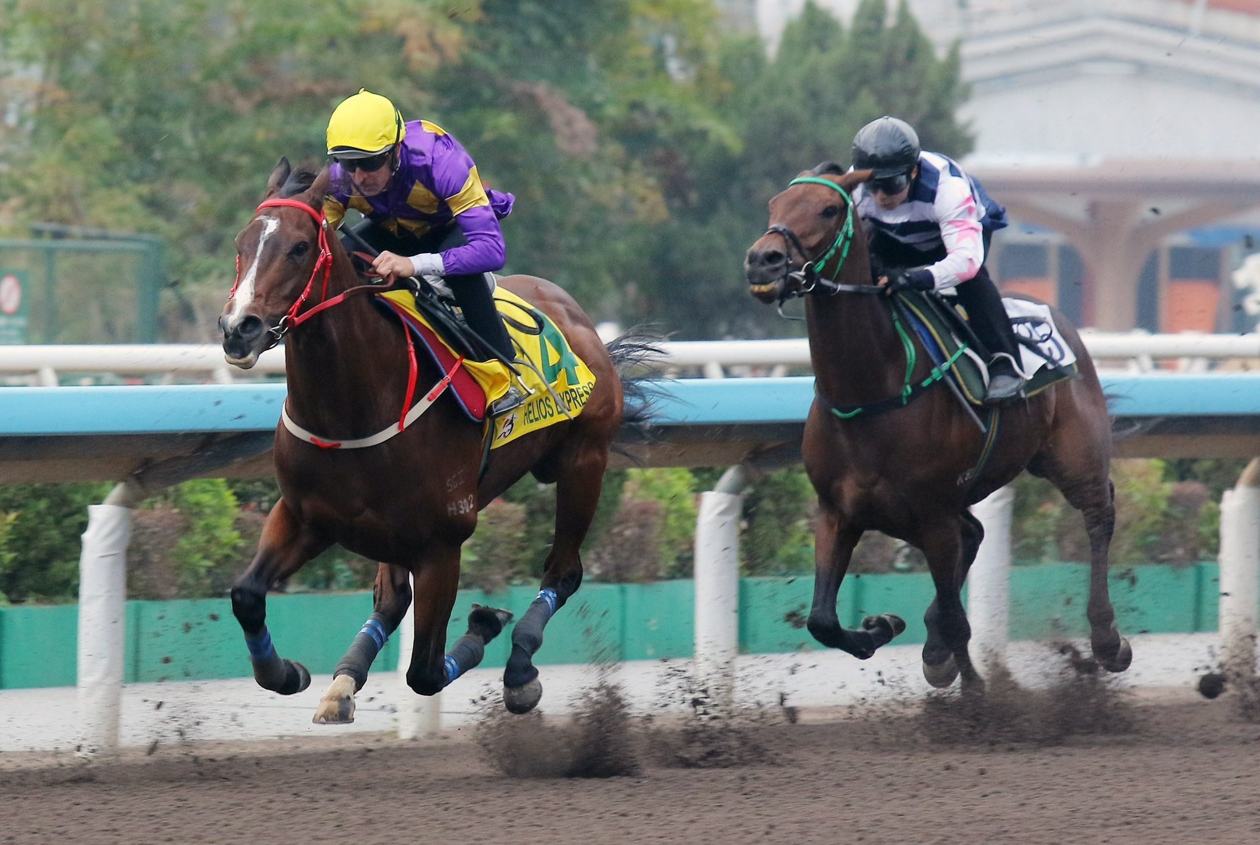 Helios Express (left) trials at Sha Tin on Thursday morning. Photos: Kenneth Chan