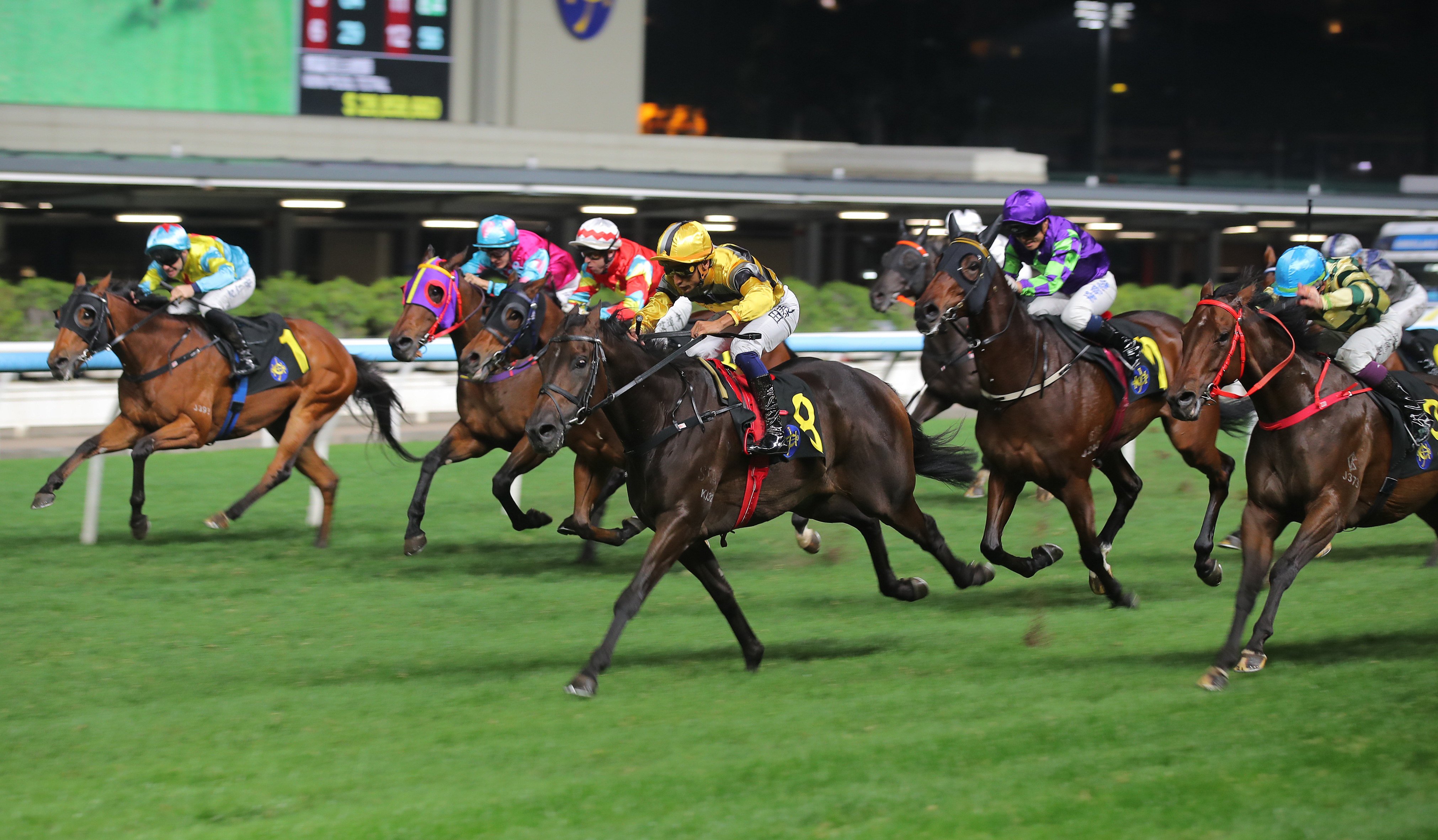 Genius Baby (centre) wins at Class Four level on Wednesday night. Photo: Kenneth Chan